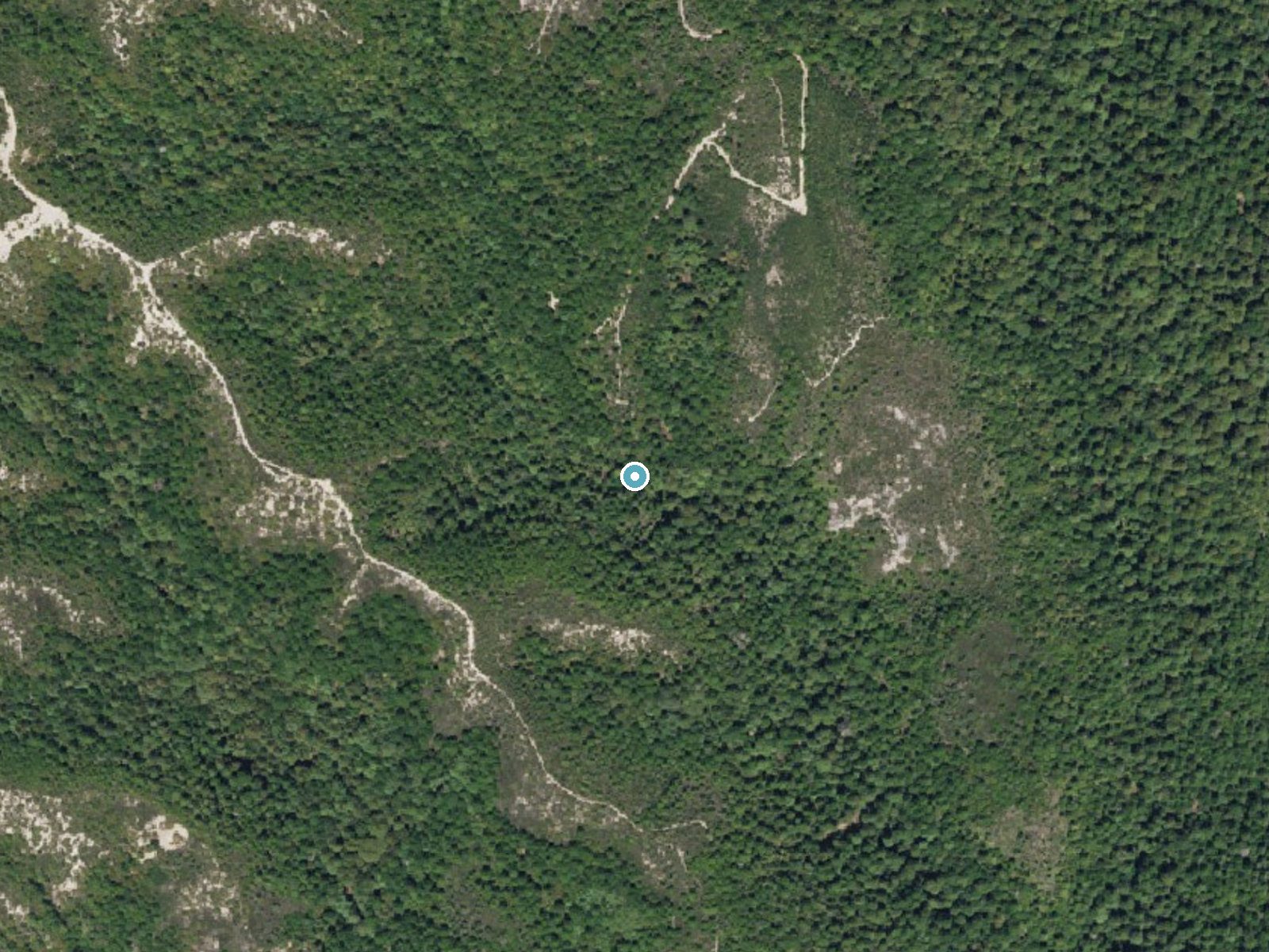 Aerial photo of the same ground around Silver Falls near Loma Mar, California, for comparison with the lidar view