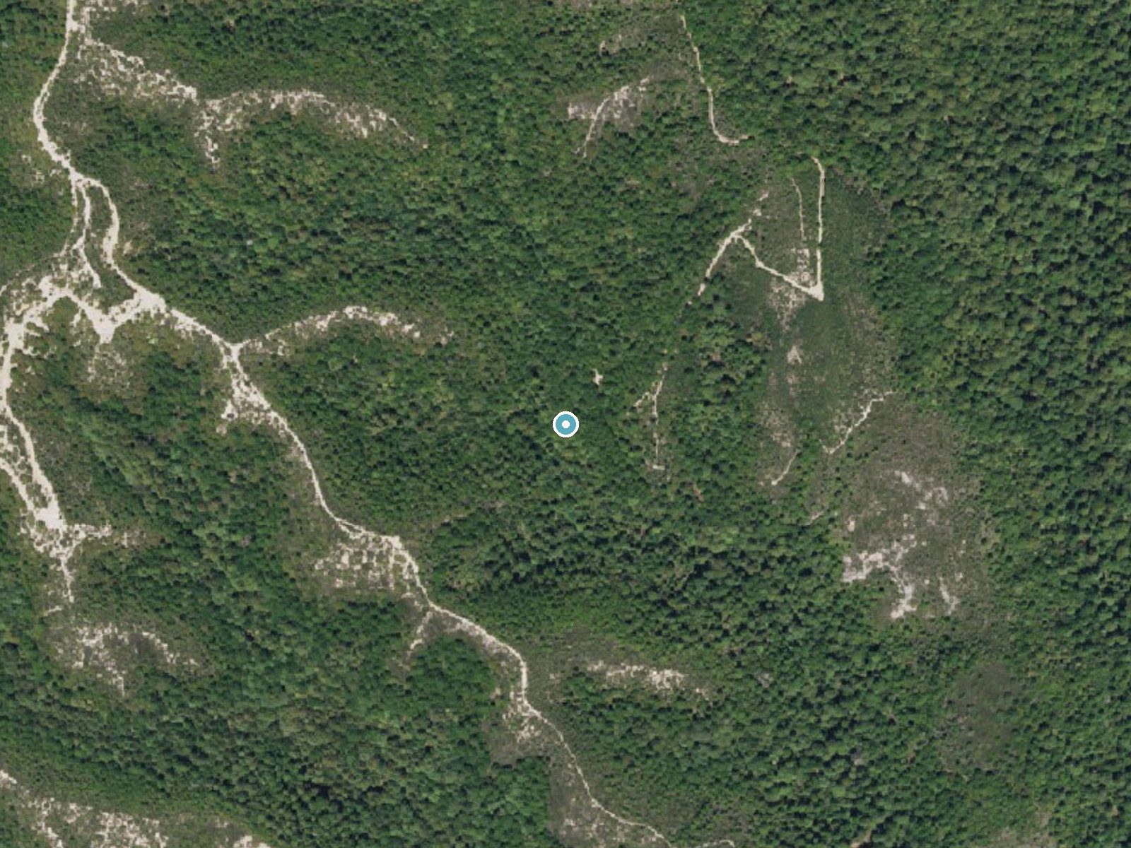 Aerial photo of the same ground around Golden Falls near Loma Mar, California, for comparison with the lidar view