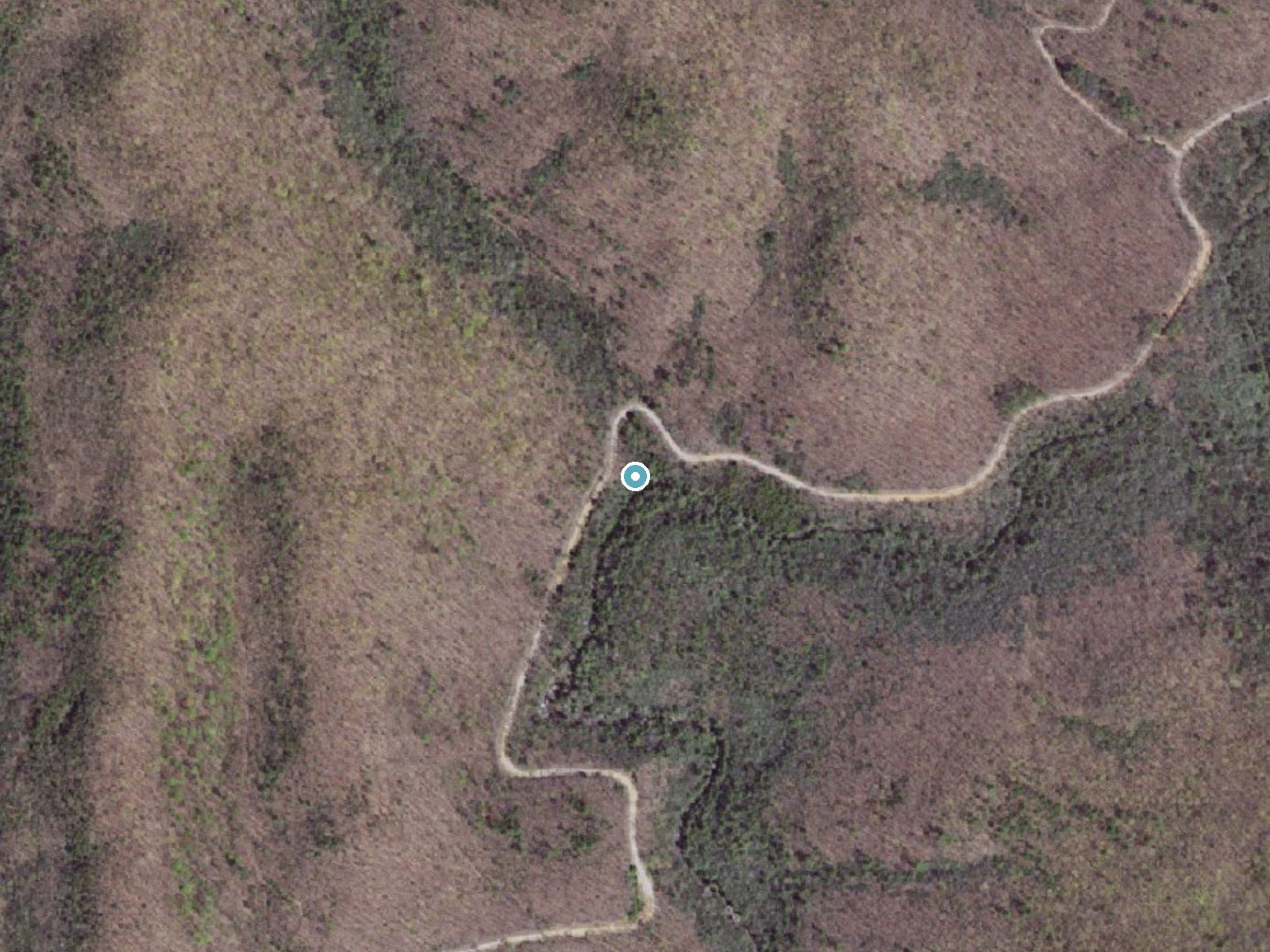 Aerial photo of the same ground around Falls of Dismal near Mechanicsburg, Virginia, for comparison with the lidar view