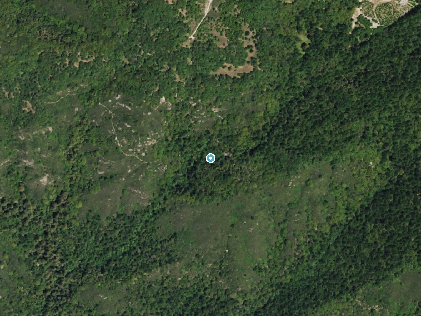 Aerial photo of the same ground around Castle Rock Falls near Boulder Creek, California, for comparison with the lidar view