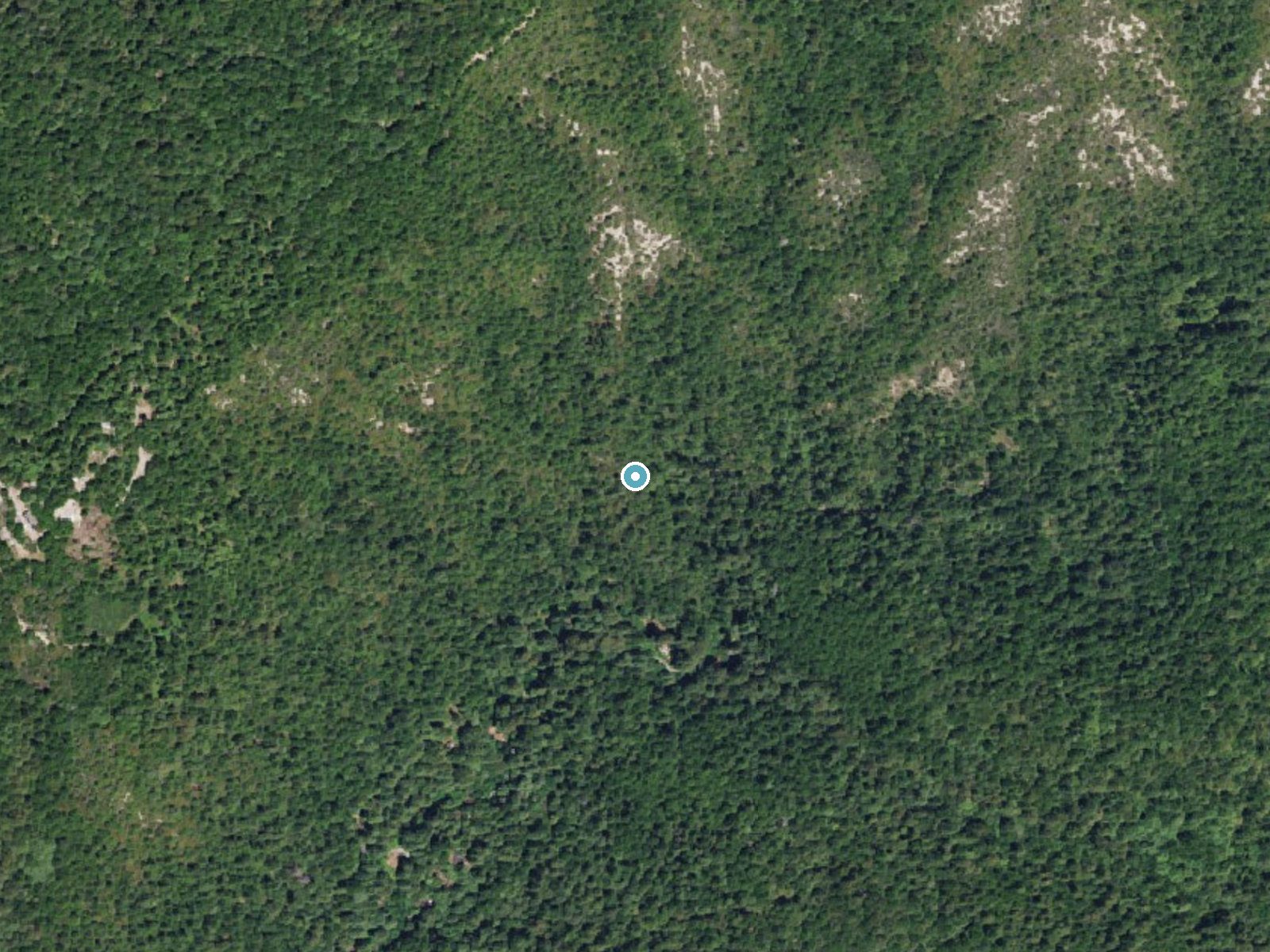 Aerial photo of the same ground around Butano Falls near Loma Mar, California, for comparison with the lidar view