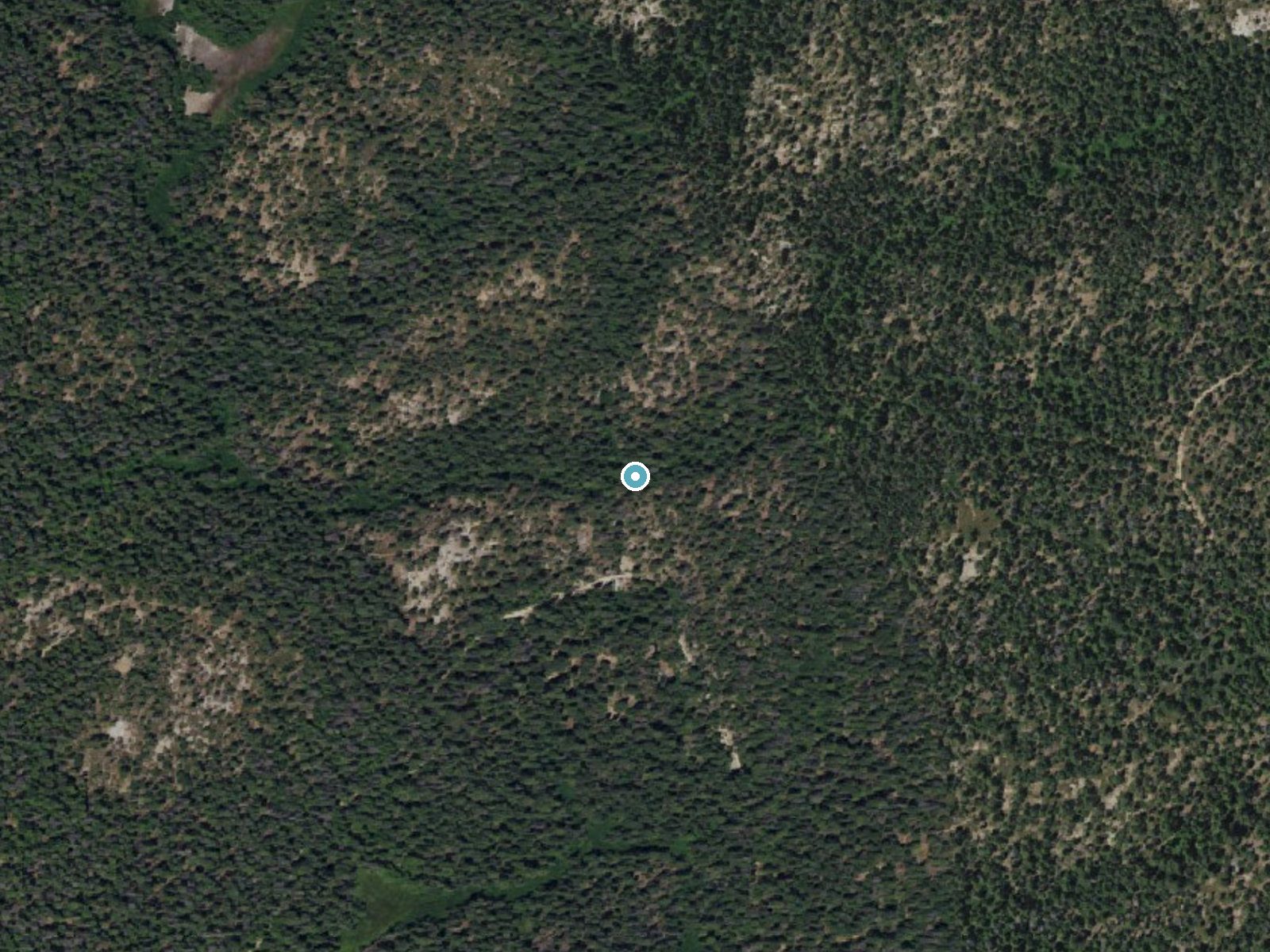 Aerial photo of the same ground around Whisky Falls near North Fork, California, for comparison with the lidar view