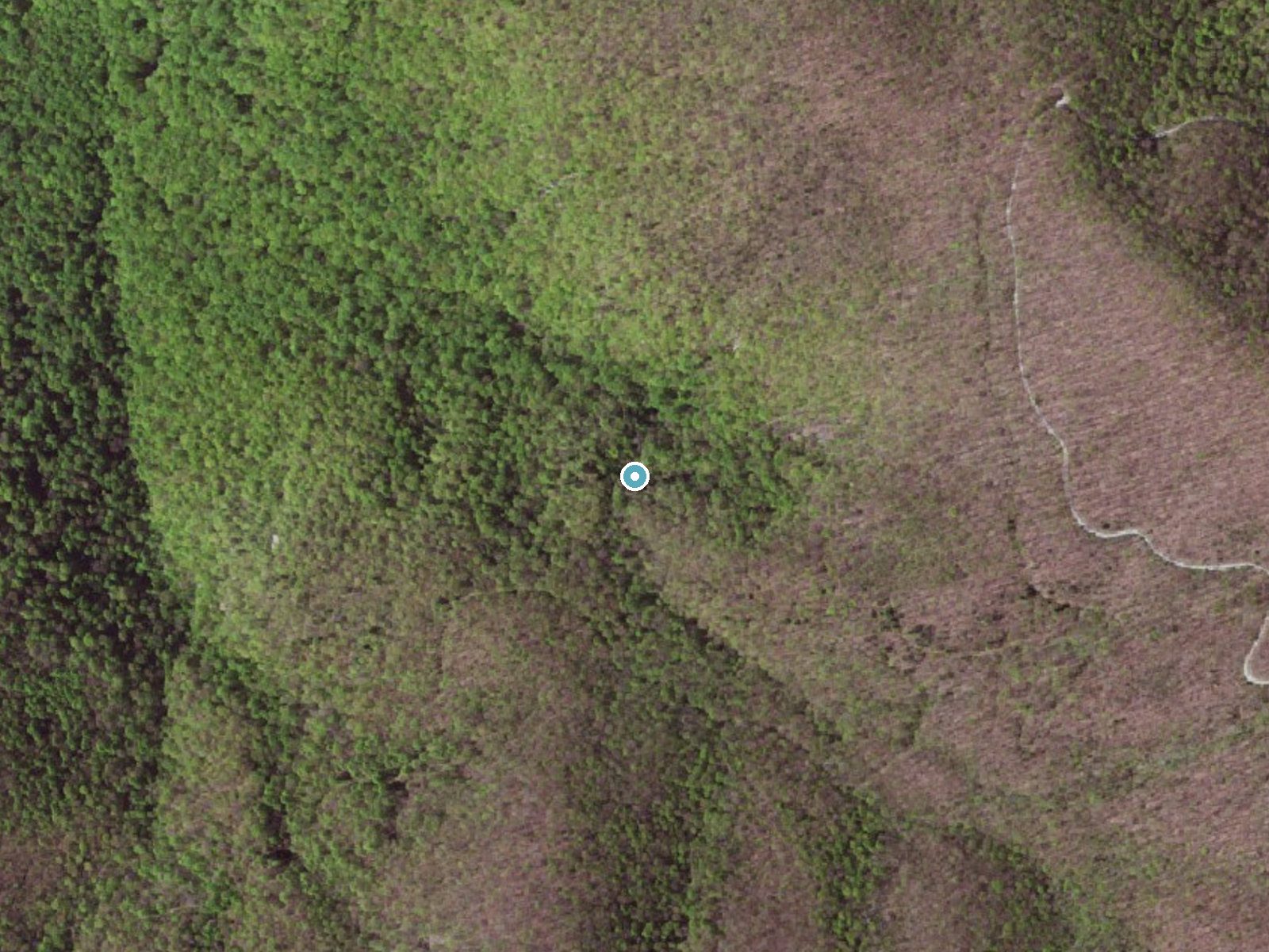 Aerial photo of the same ground around Apple Orchard Falls near Buchanan, Virginia, for comparison with the lidar view