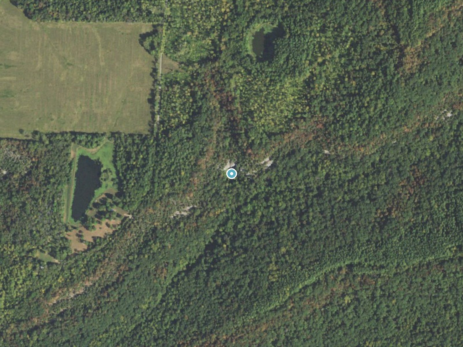 Aerial photo of the same ground around Cedar Falls near Simpson, Illinois, for comparison with the lidar view