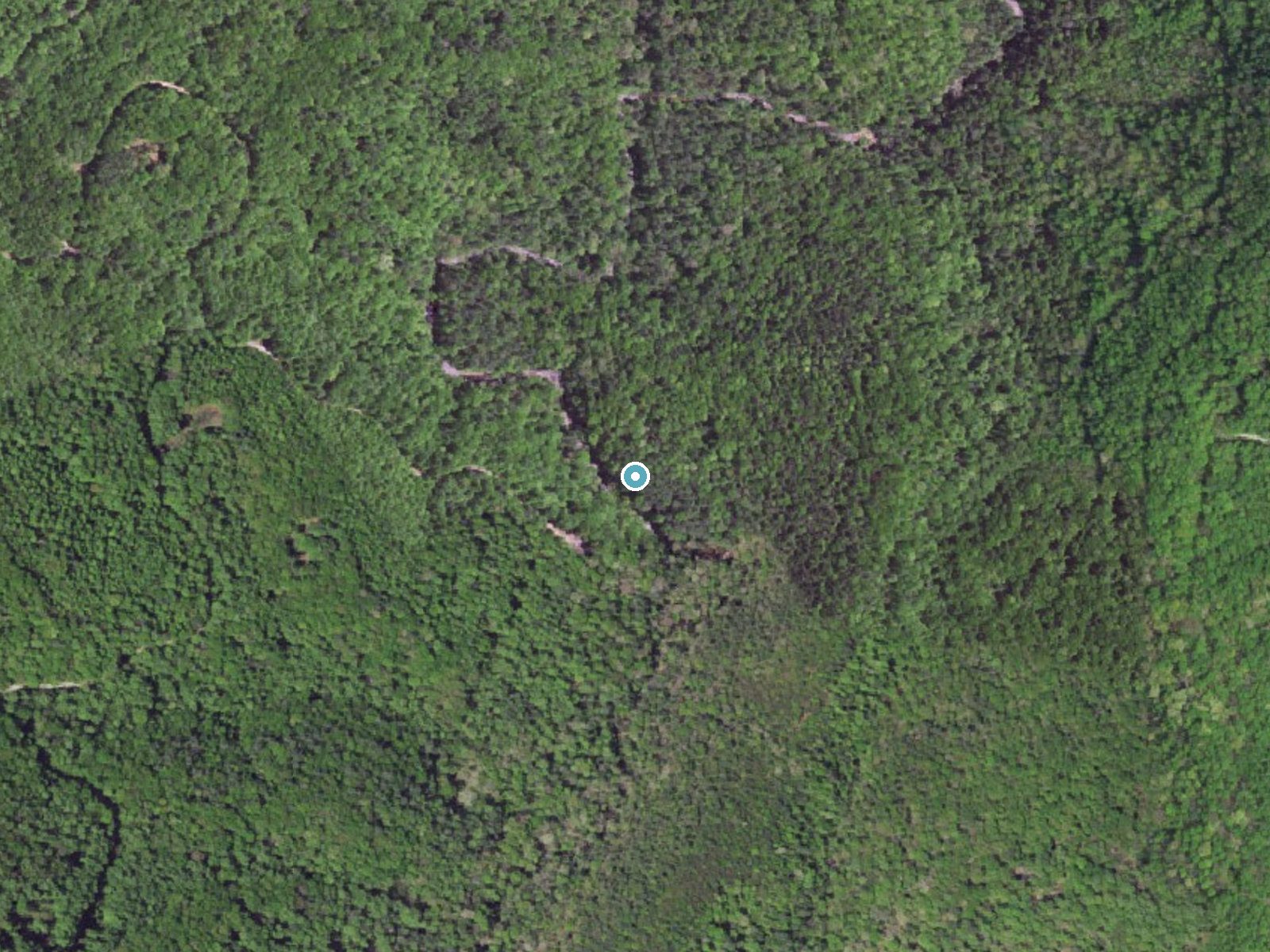 Aerial photo of the same ground around Panther Falls near Buena Vista, Virginia, for comparison with the lidar view
