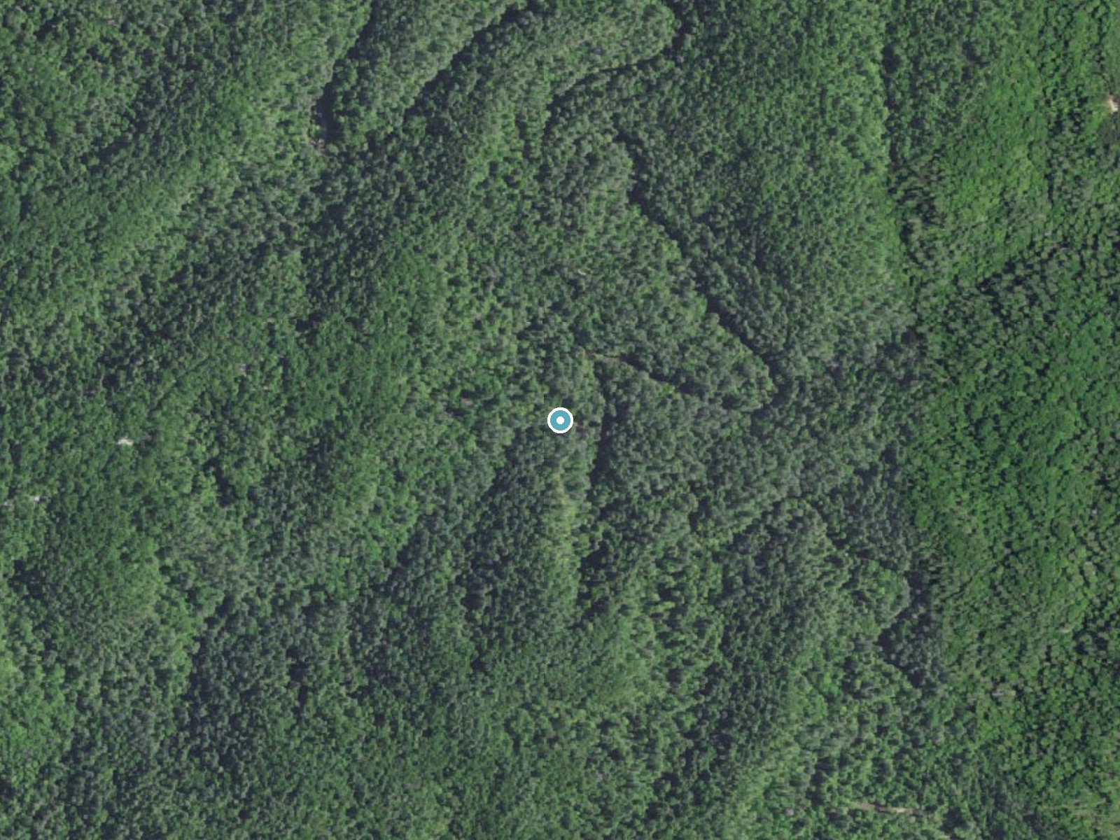 Aerial photo of the same ground around Rock Bridge Falls near Campton, Kentucky, for comparison with the lidar view