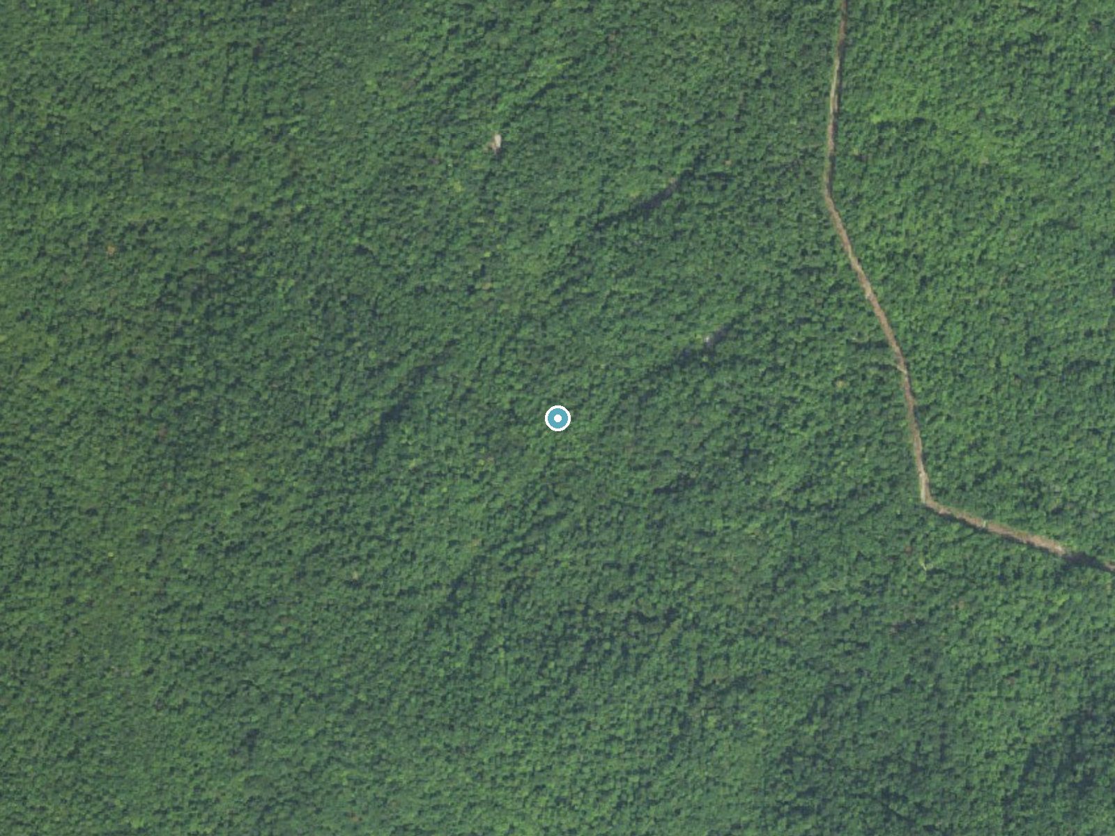 Aerial photo of the same ground around The Falls near Lovingston, Virginia, for comparison with the lidar view