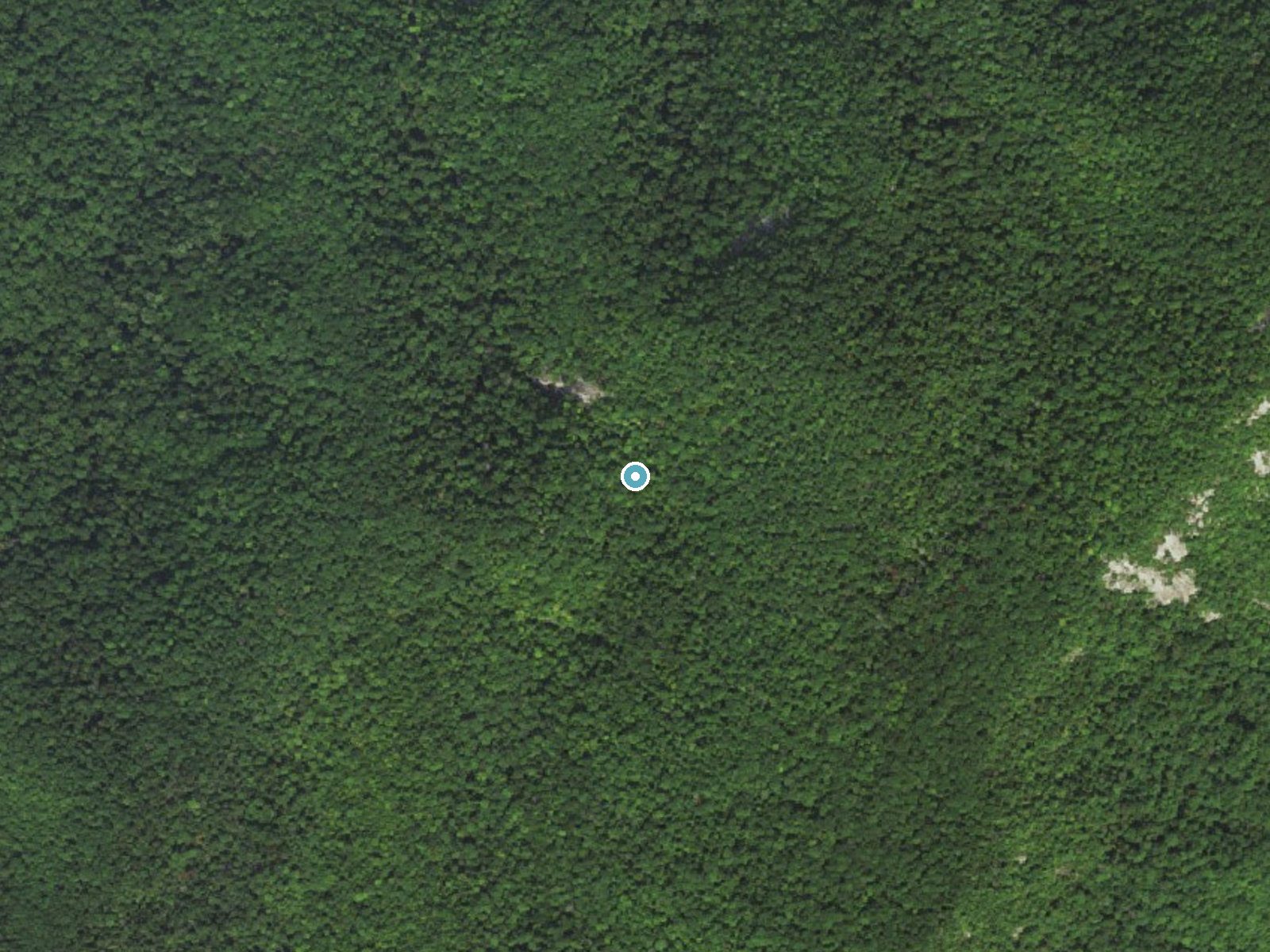 Aerial photo of the same ground around Crabtree Falls near Wintergreen, Virginia, for comparison with the lidar view
