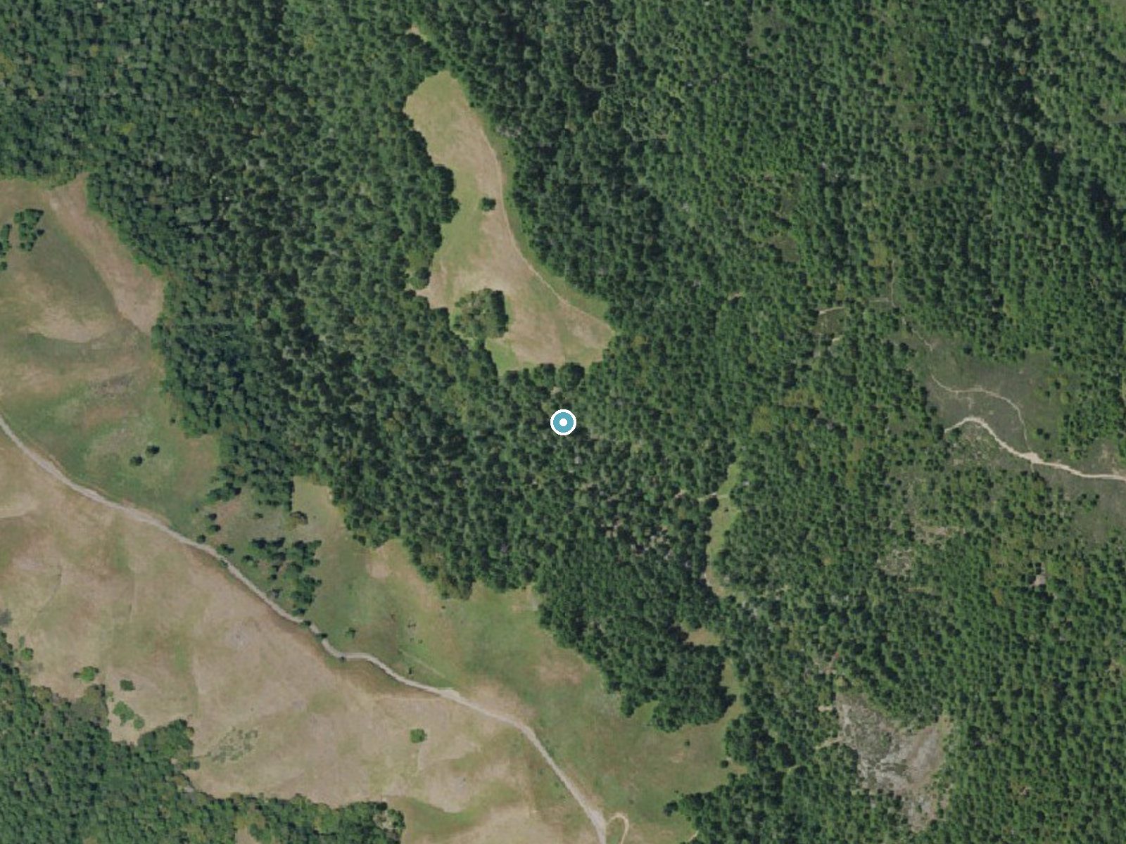 Aerial photo of the same ground around Cataract Falls near Stinson Beach, California, for comparison with the lidar view