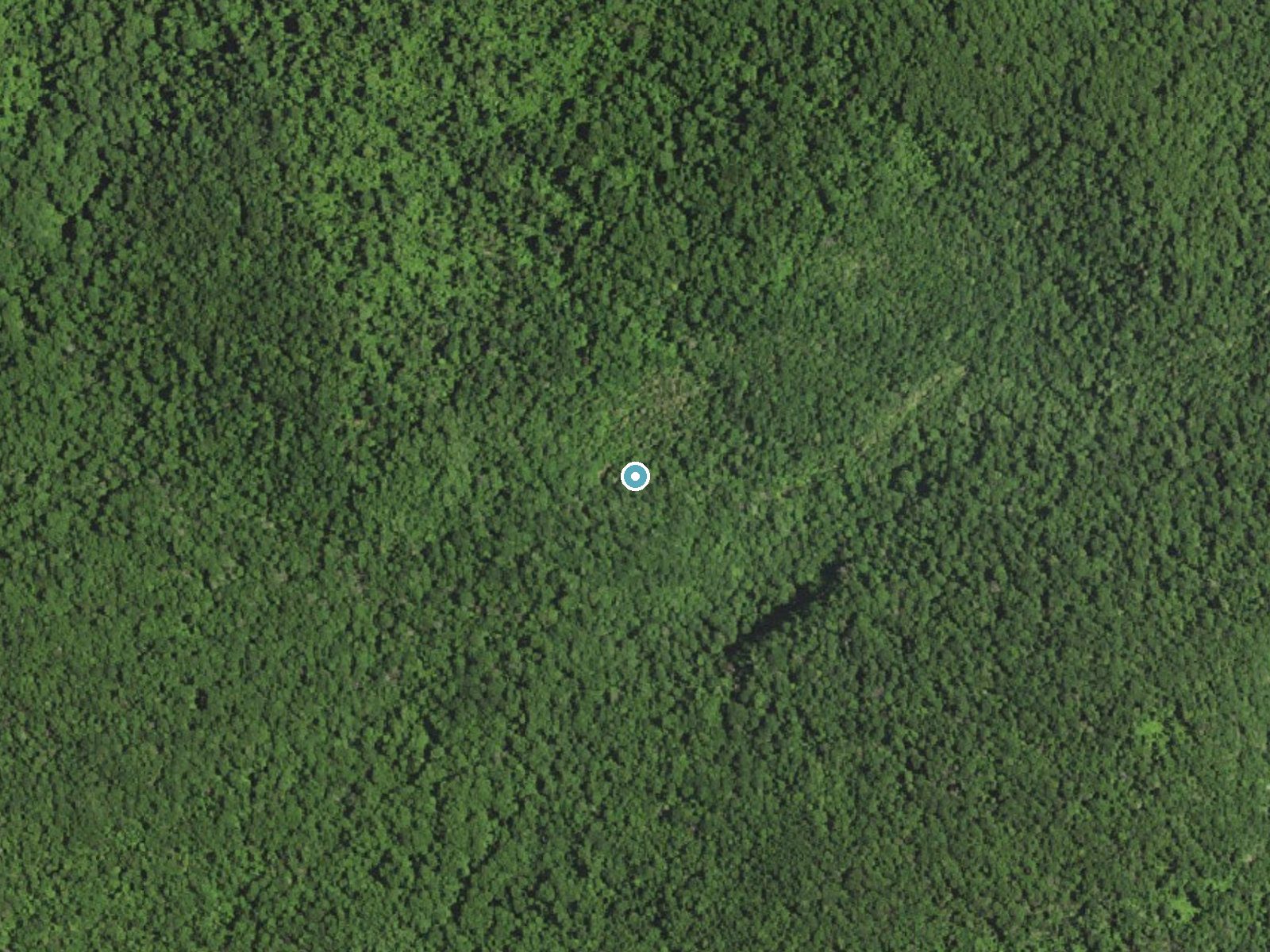 Aerial photo of the same ground around Jones Run Falls near Harriston, Virginia, for comparison with the lidar view