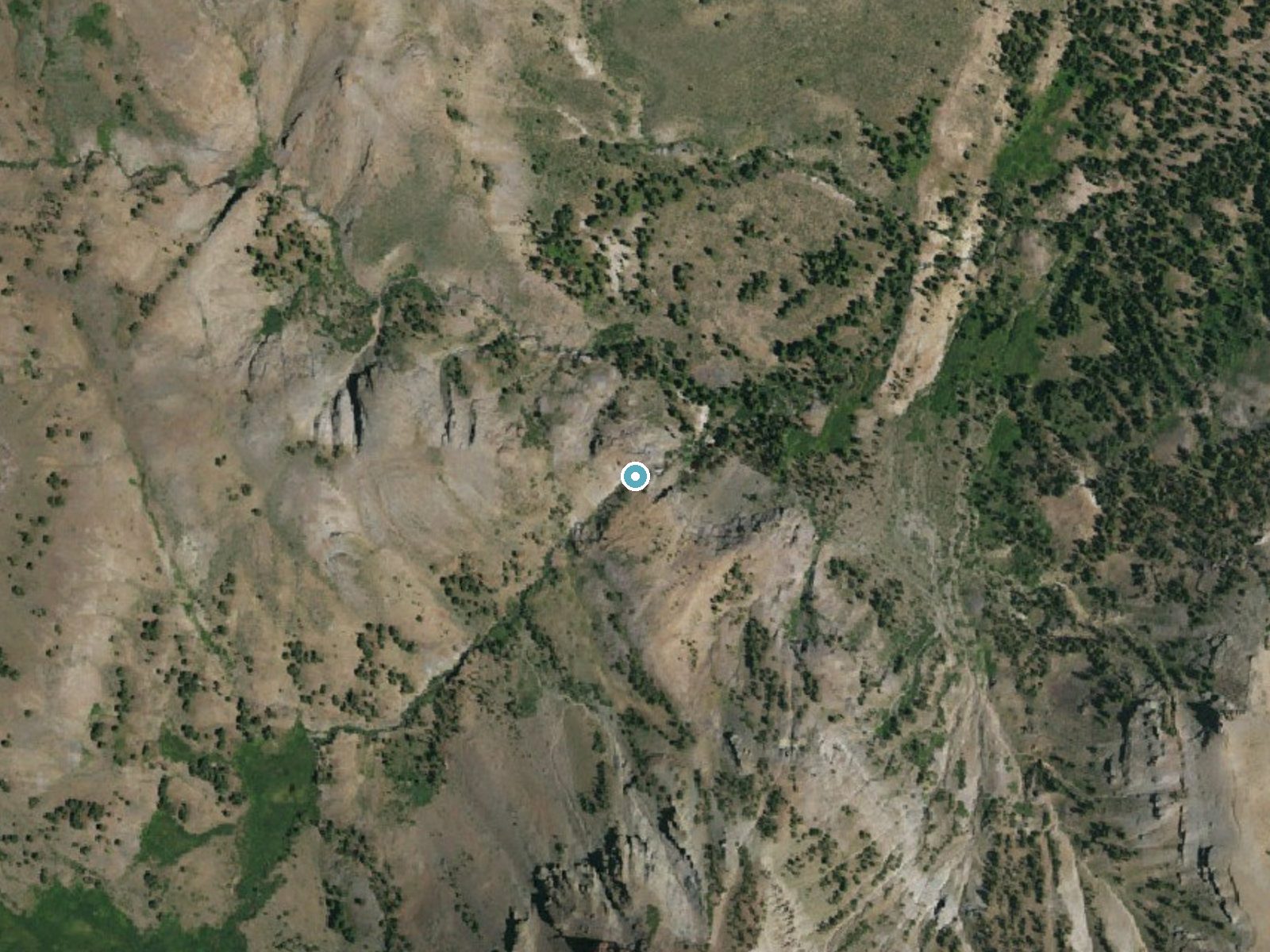 Aerial photo of the same ground around Sardine Falls near Walker, California, for comparison with the lidar view