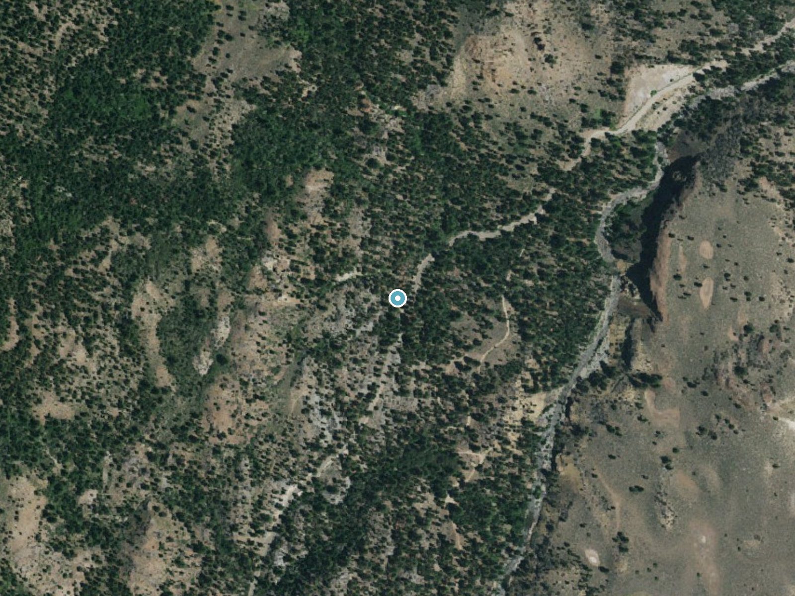 Aerial photo of the same ground around Silver Falls near Walker, California, for comparison with the lidar view