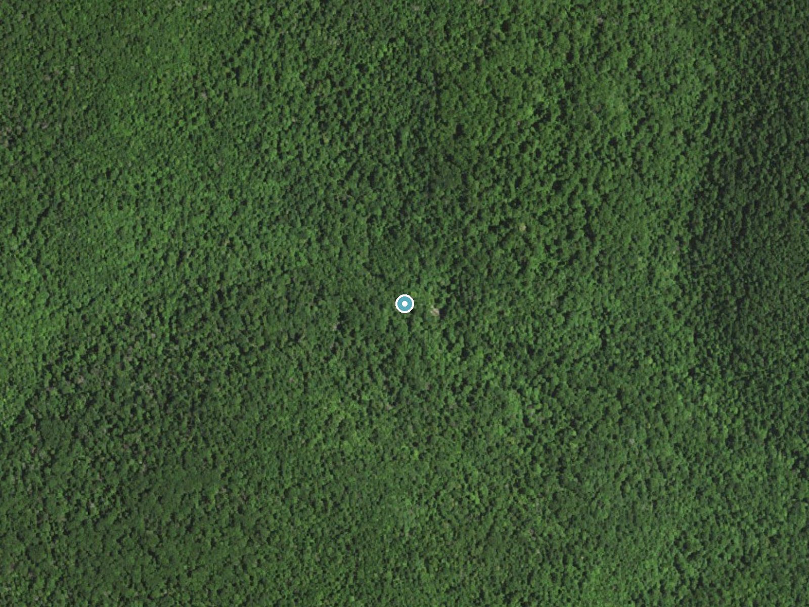 Aerial photo of the same ground around South River Falls near Elkton, Virginia, for comparison with the lidar view
