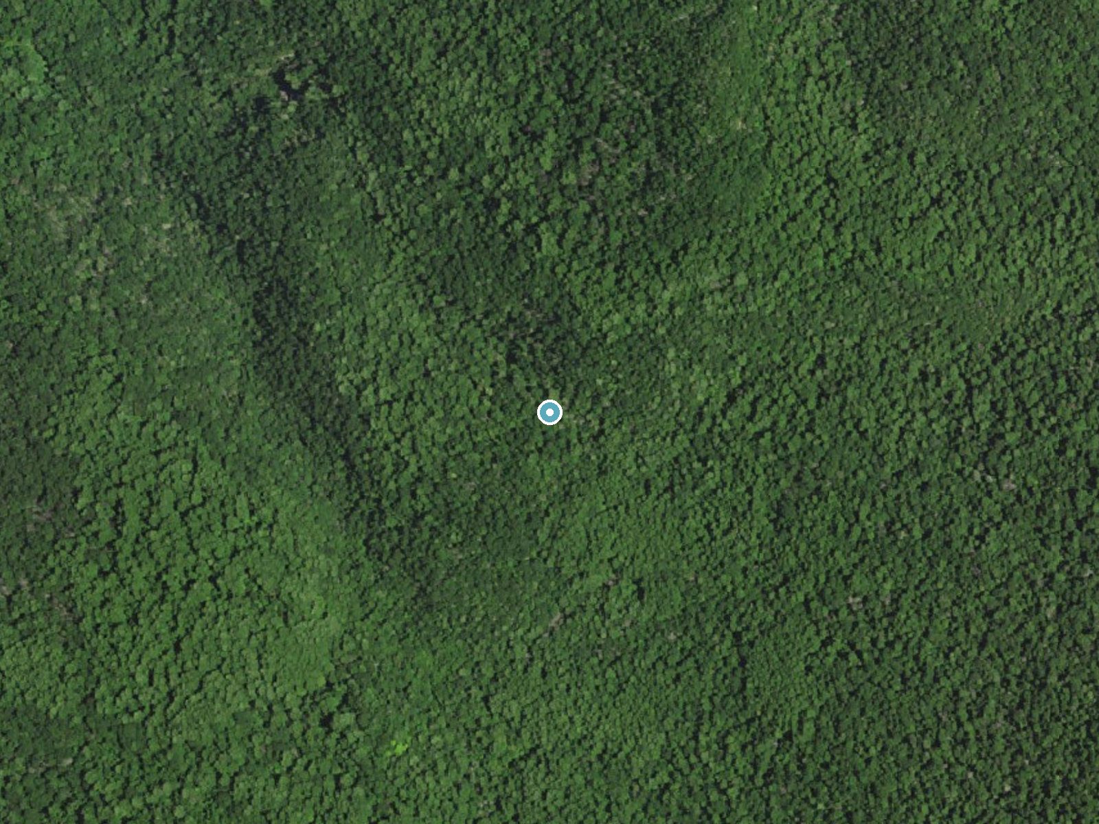Aerial photo of the same ground around Dry Run Falls near Elkton, Virginia, for comparison with the lidar view