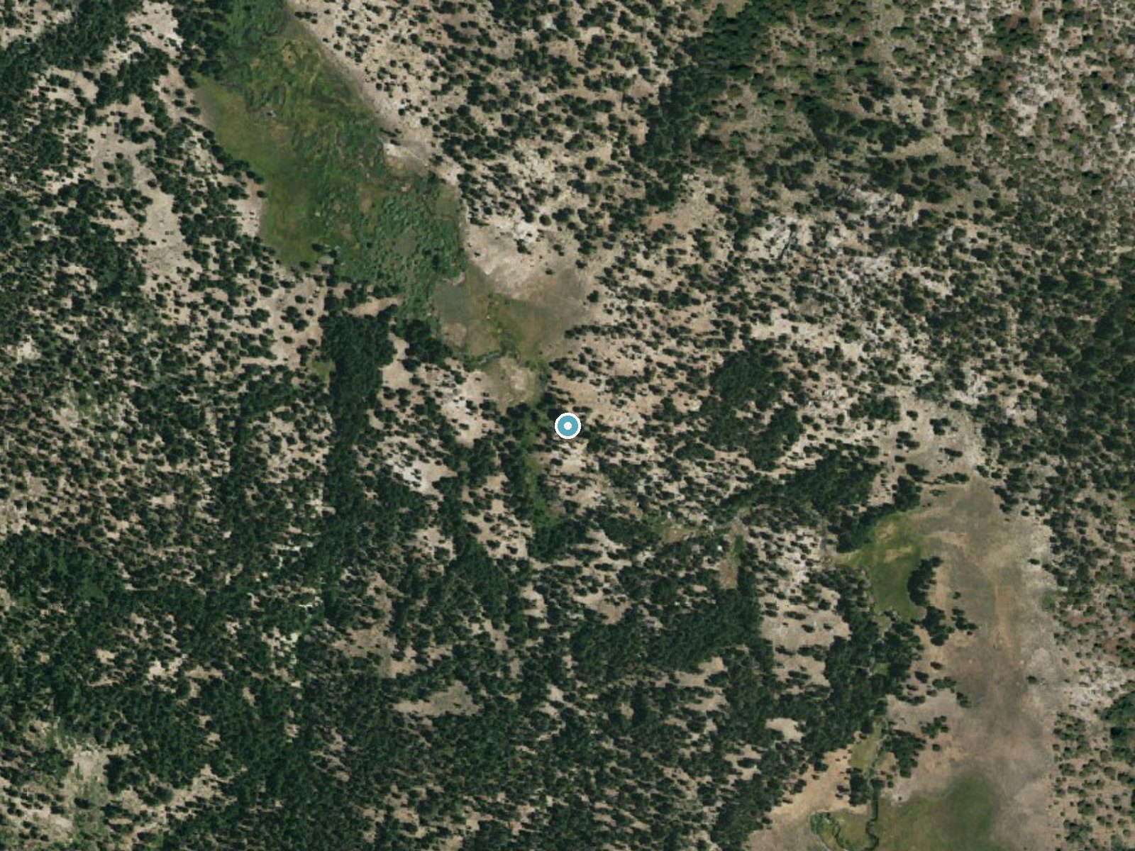 Aerial photo of the same ground around Llewellyn Falls near Walker, California, for comparison with the lidar view