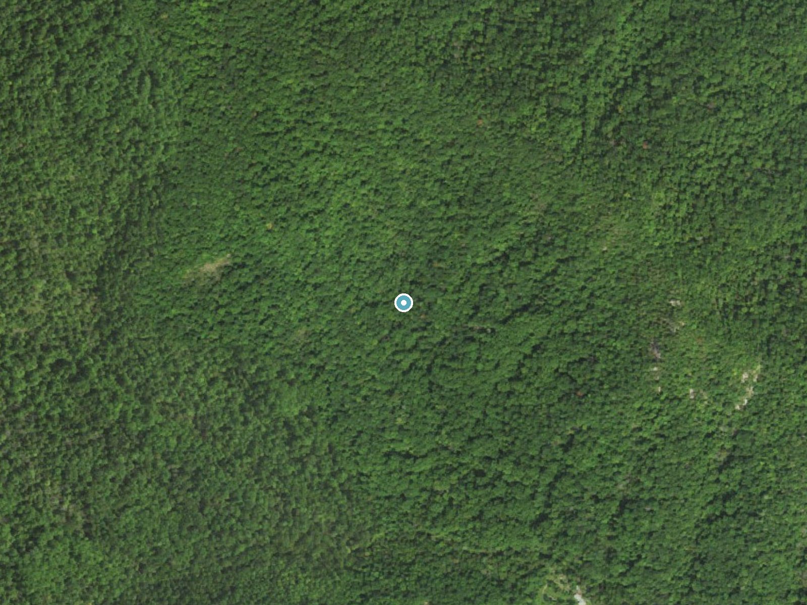 Aerial photo of the same ground around Climbing Rose Falls near Stanley, Virginia, for comparison with the lidar view