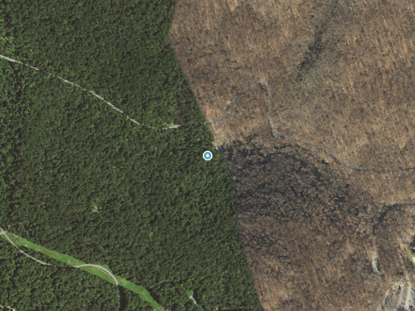 Aerial photo of the same ground around Cunningham Falls near Thurmont, Maryland, for comparison with the lidar view