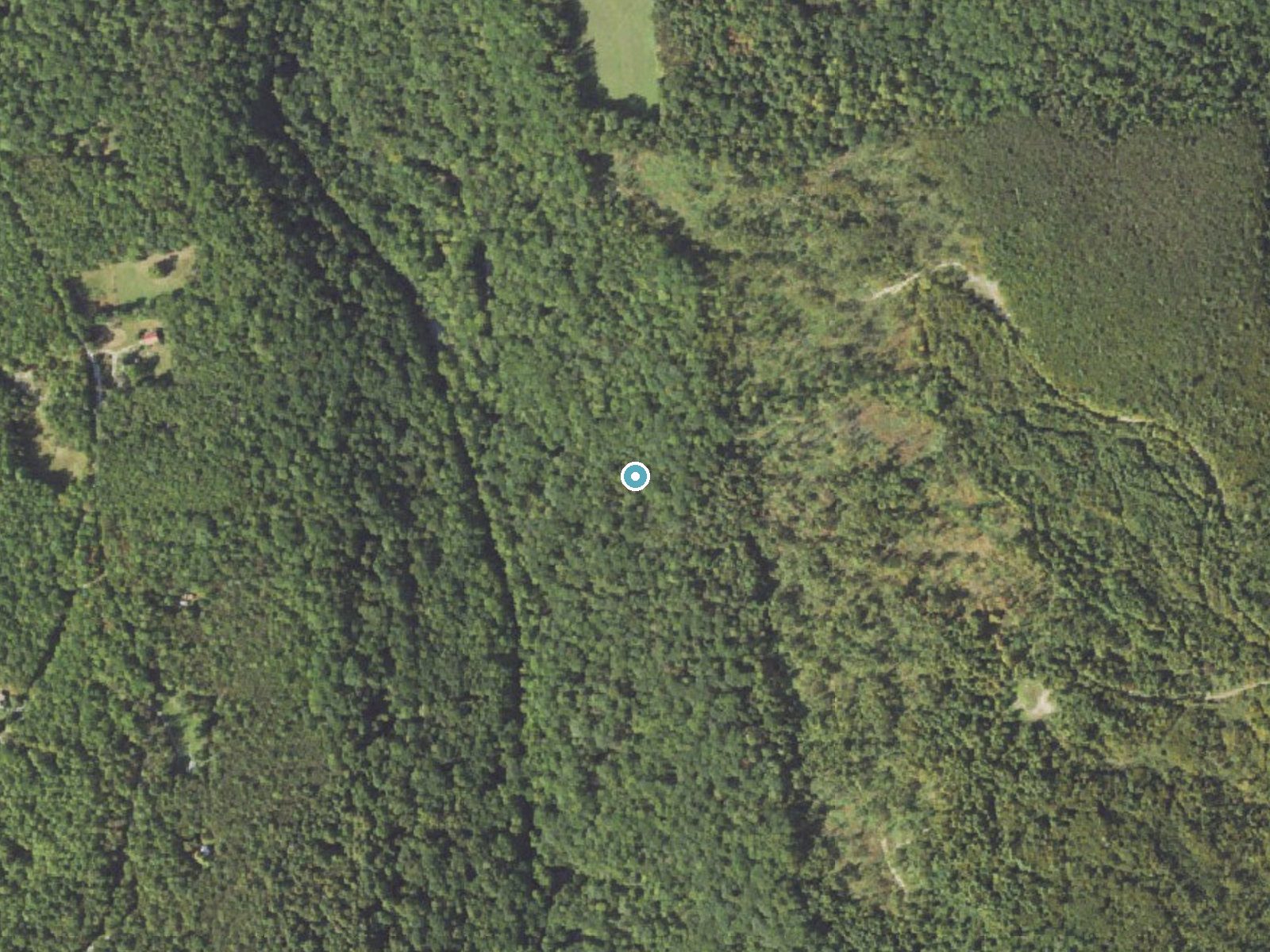 Aerial photo of the same ground around Adams Falls near Laurel Mountain, Pennsylvania, for comparison with the lidar view