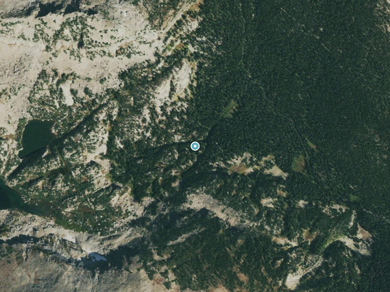 Aerial photo of the same ground around Mertensia Falls near Allenspark, Colorado, for comparison with the lidar view
