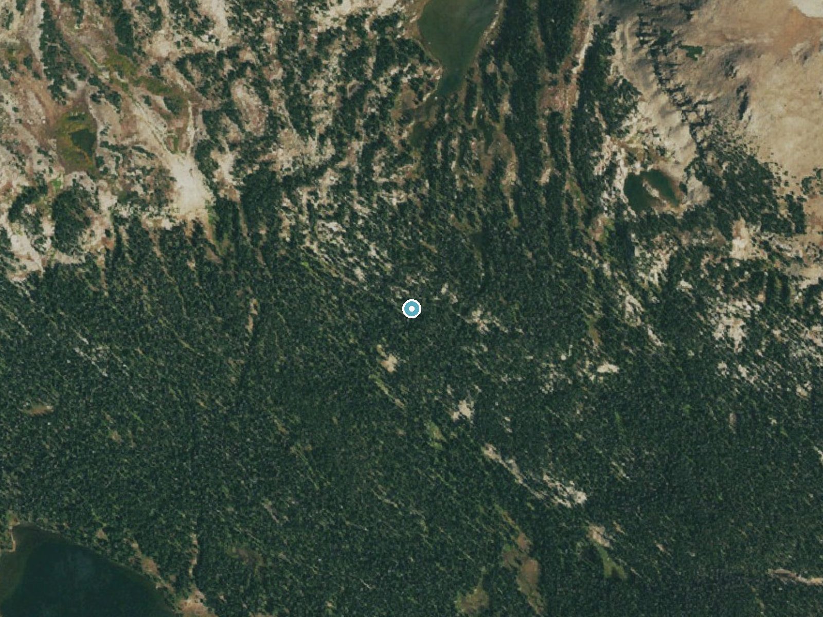Aerial photo of the same ground around Thunder Falls near Allenspark, Colorado, for comparison with the lidar view
