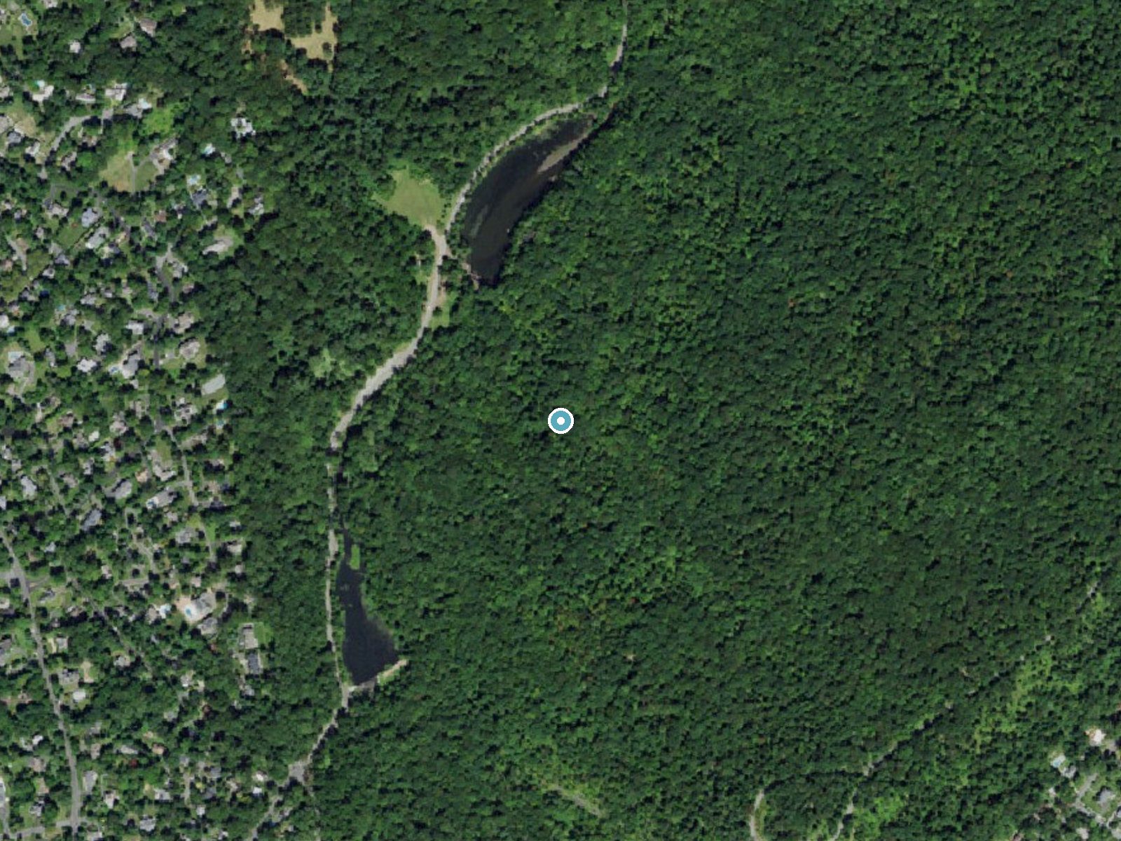 Aerial photo of the same ground around Maple Falls near Short Hills, New Jersey, for comparison with the lidar view