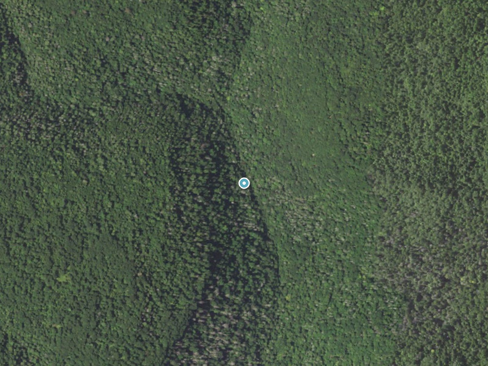 Aerial photo of the same ground around Sheldon Reynolds Falls near Jamison City, Pennsylvania, for comparison with the lidar view