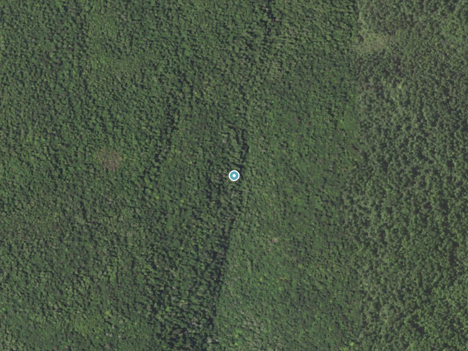 Aerial photo of the same ground around F L Ricketts Falls near Jamison City, Pennsylvania, for comparison with the lidar view