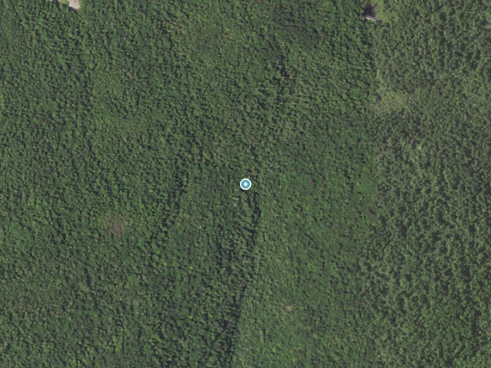 Aerial photo of the same ground around Onondaga Falls near Jamison City, Pennsylvania, for comparison with the lidar view