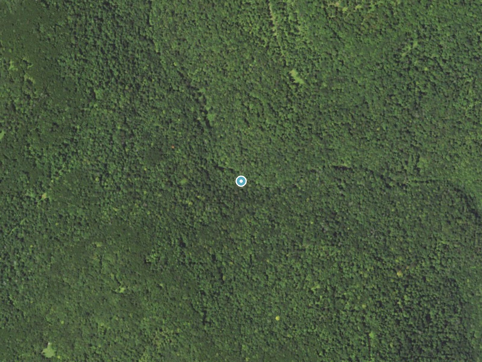 Aerial photo of the same ground around Wenonan Falls near Eagles Mere, Pennsylvania, for comparison with the lidar view