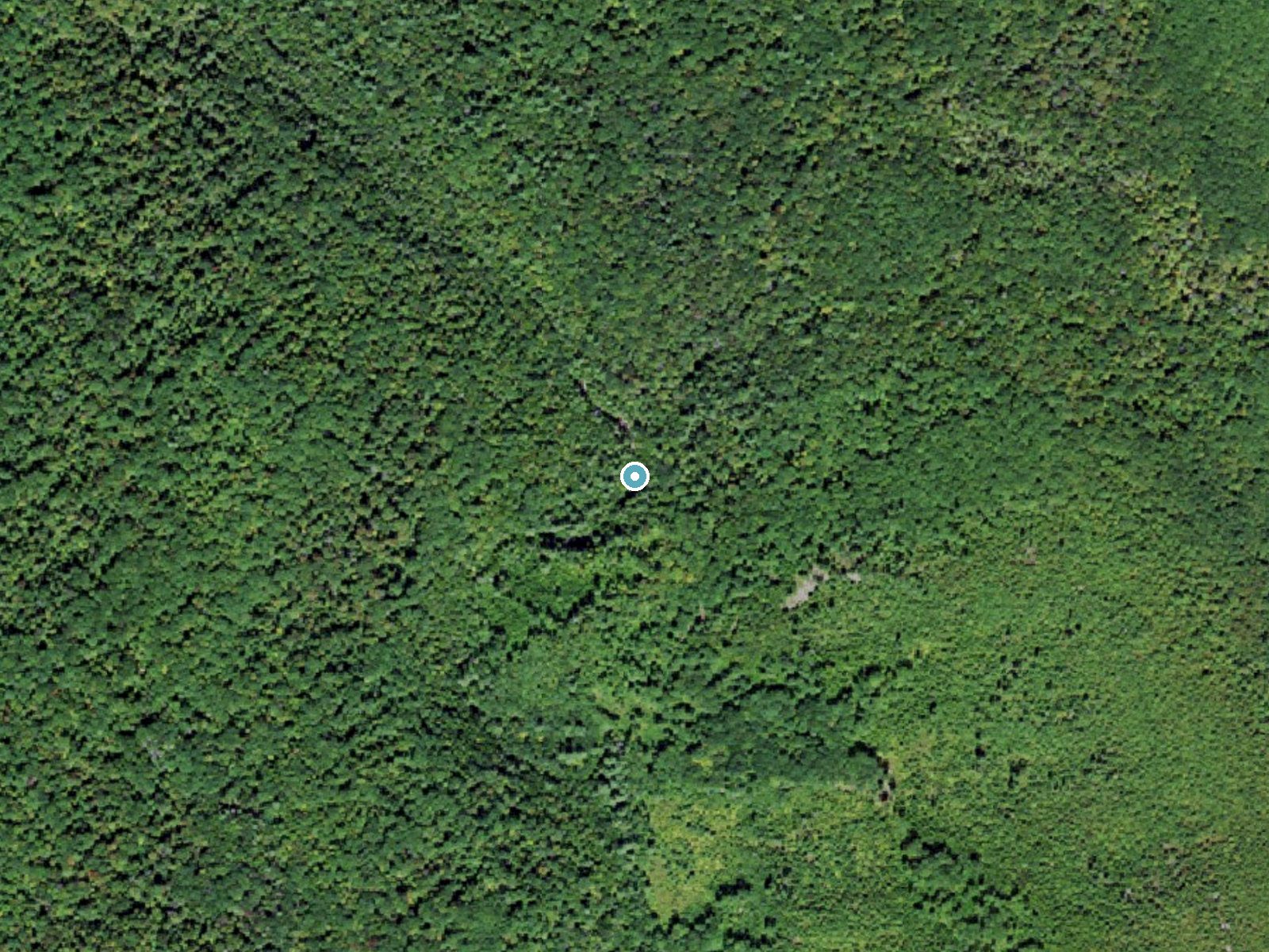 Aerial photo of the same ground around Vernooy Falls near Napanoch, New York, for comparison with the lidar view