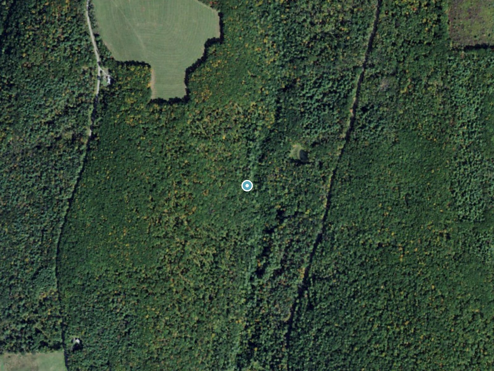 Aerial photo of the same ground around Oskonsa Falls near Elkland, New York, for comparison with the lidar view