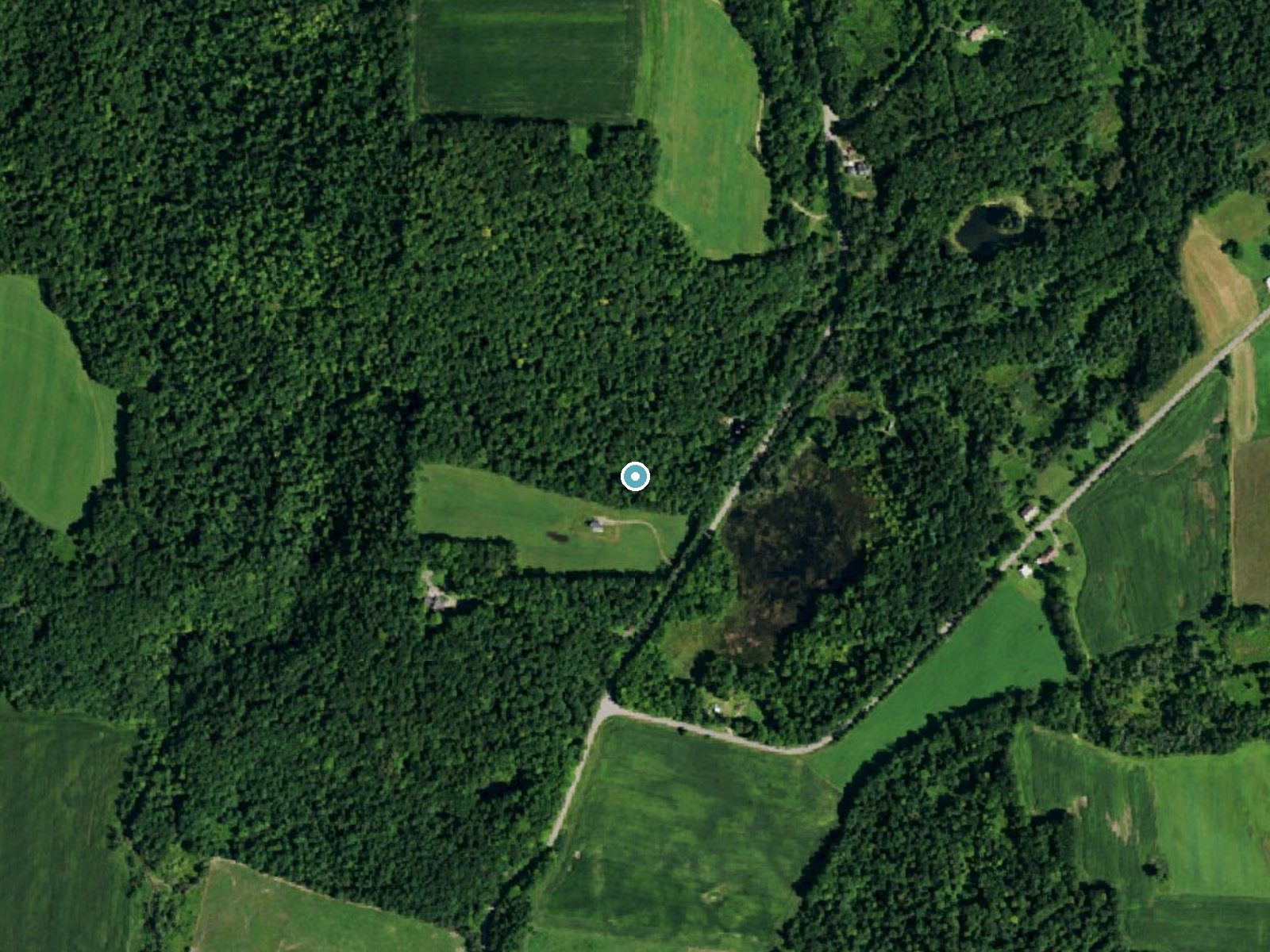 Aerial photo of the same ground around Stoney Pitcher Falls near Cattaraugus, New York, for comparison with the lidar view