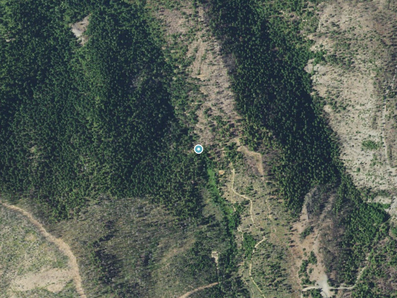 Aerial view of the ground around Taylor Creek Falls near Selma, Oregon
