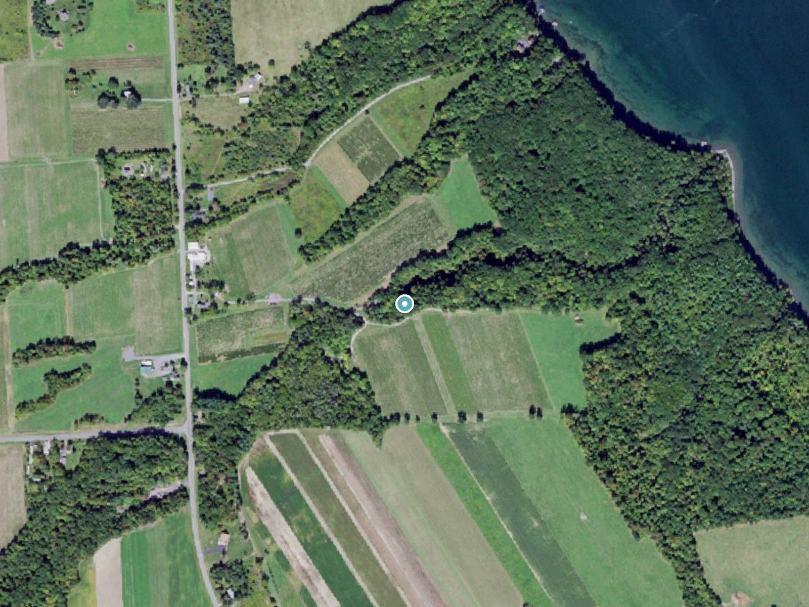 Aerial photo of the same ground around Hosmer Falls near Interlaken, New York, for comparison with the lidar view