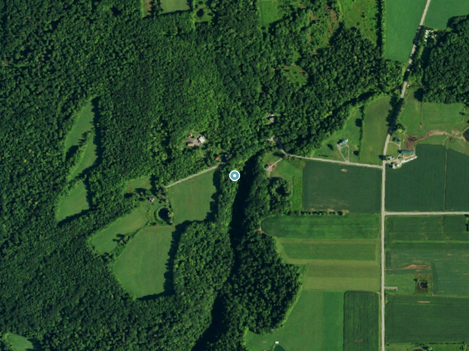 Aerial photo of the same ground around Johnson Falls near Strykersville, New York, for comparison with the lidar view