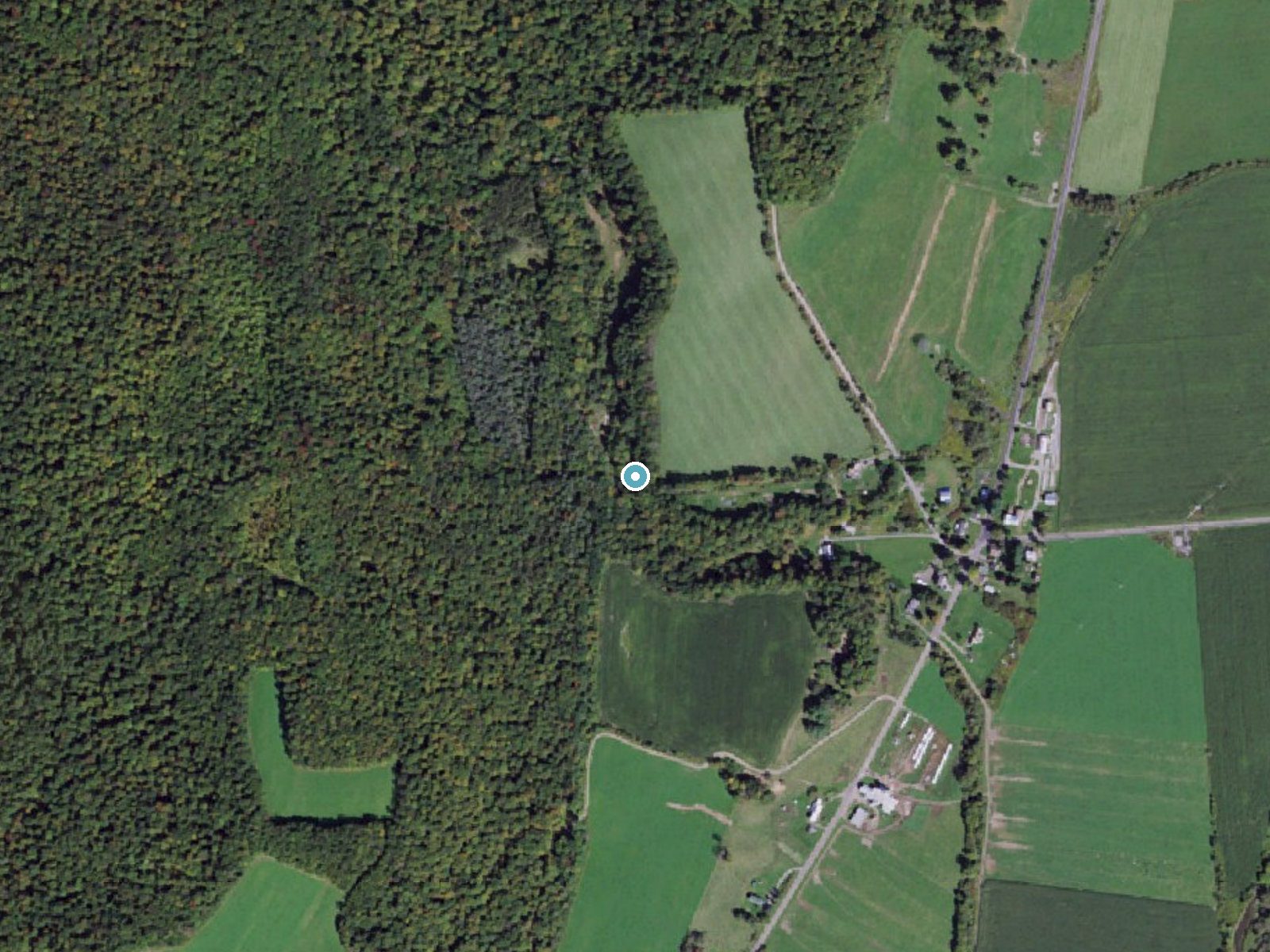 Aerial photo of the same ground around Spicer Falls near McGraw, New York, for comparison with the lidar view