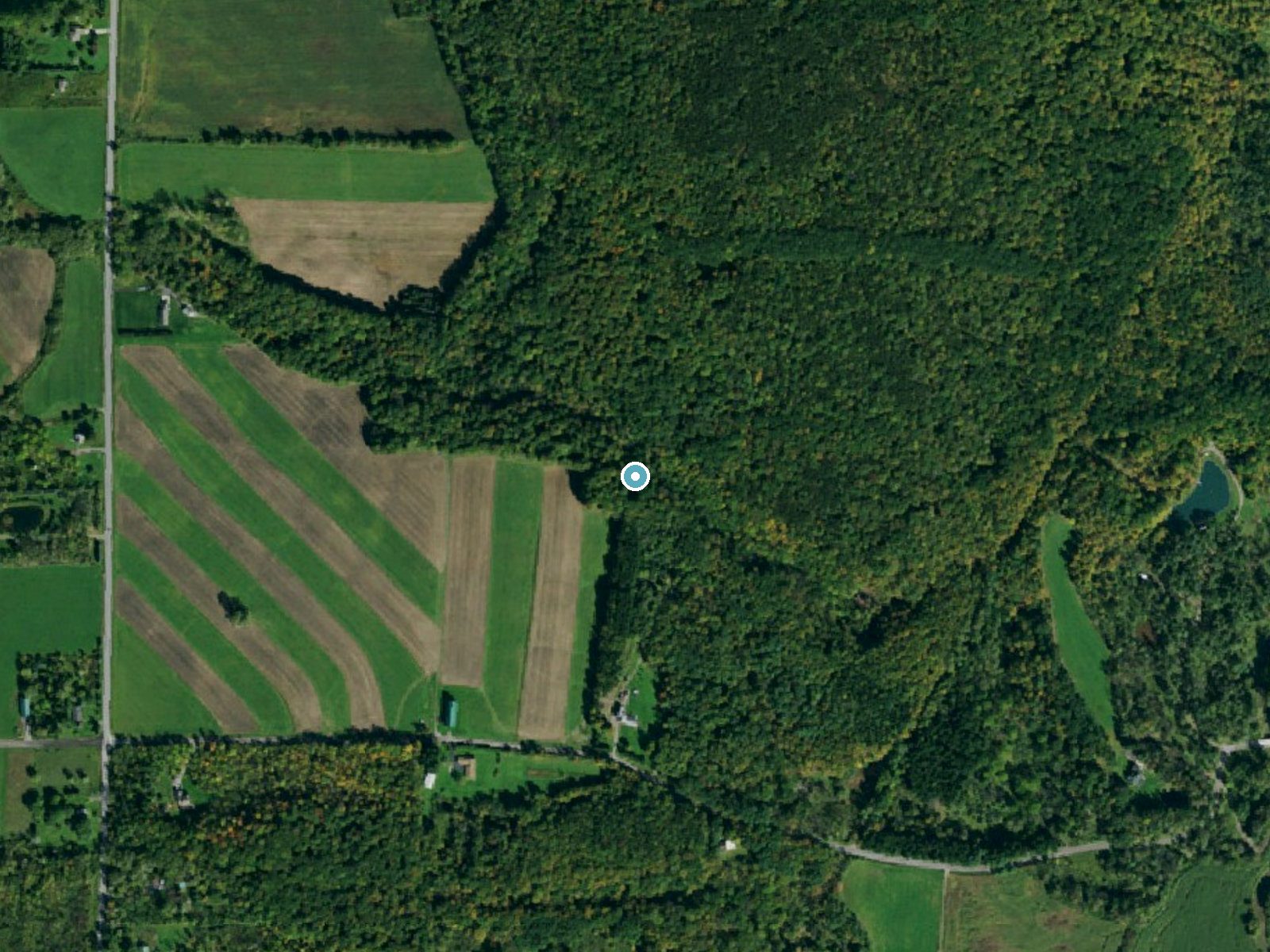Aerial photo of the same ground around Johnson Falls near Strykersville, New York, for comparison with the lidar view
