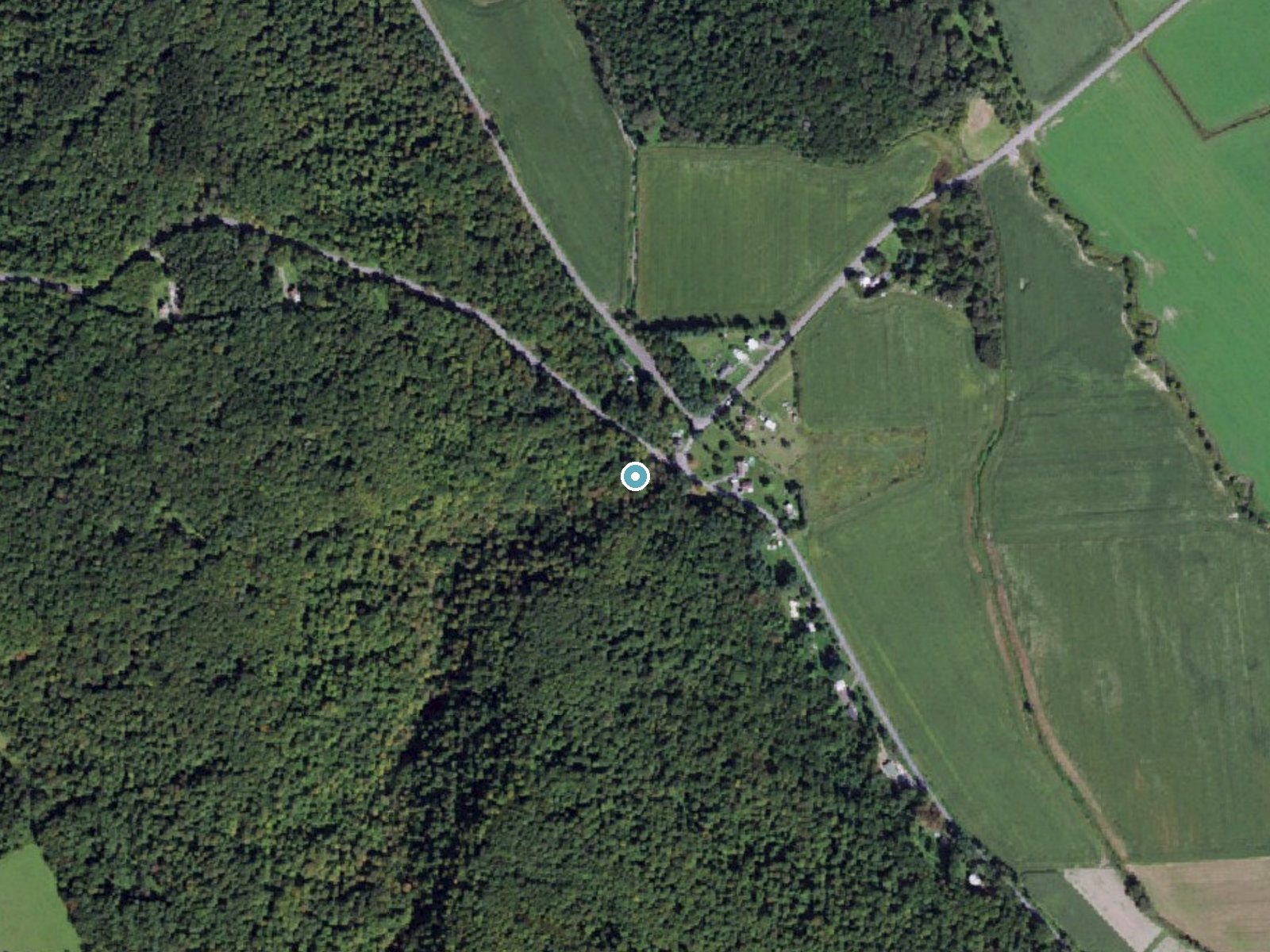 Aerial photo of the same ground around Bucktail Falls near Fairmount, New York, for comparison with the lidar view