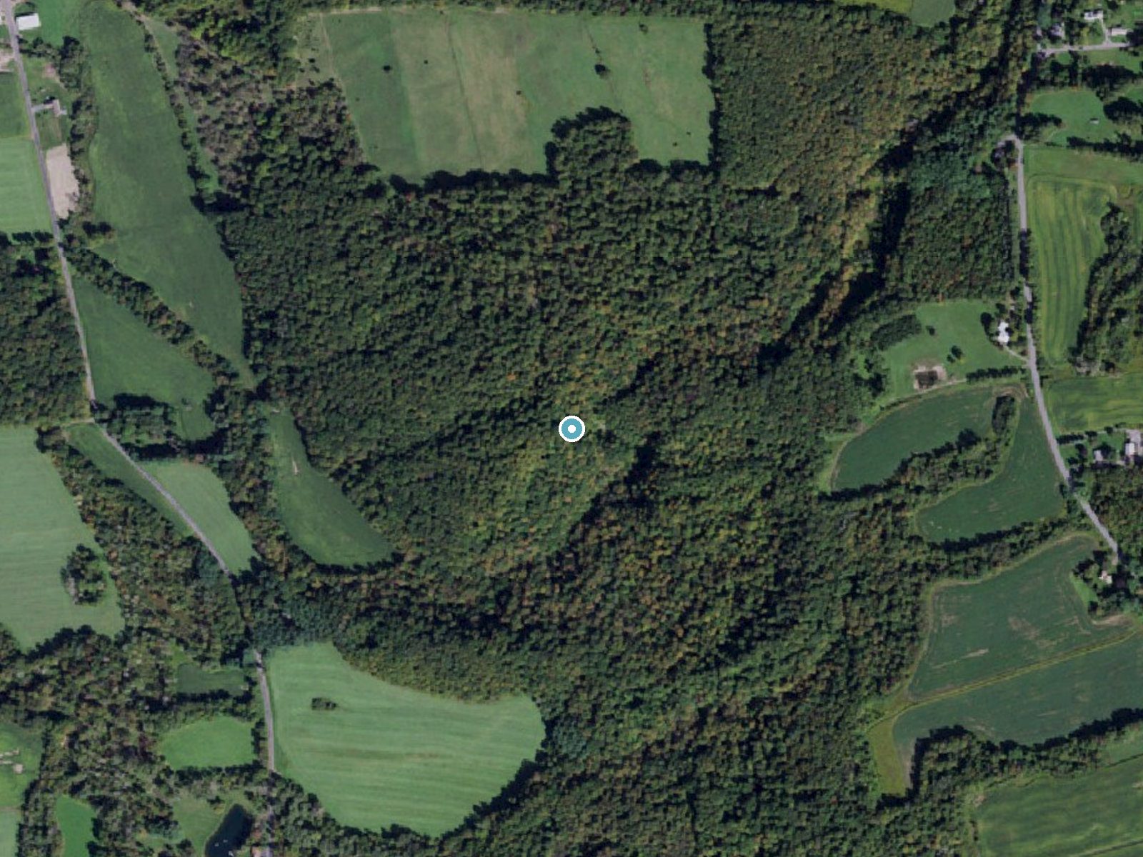 Aerial photo of the same ground around The Cascades near Nedrow, New York, for comparison with the lidar view