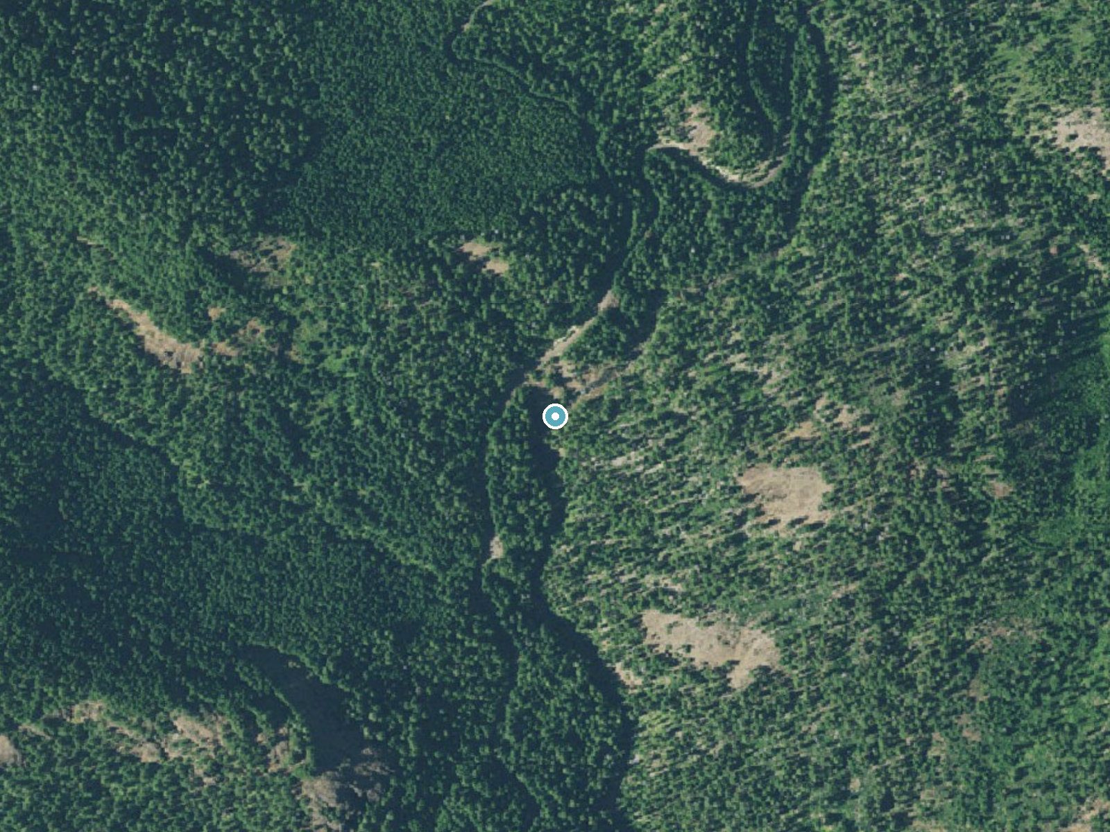 Aerial view of the ground around Deer Lick Falls near Prospect, Oregon