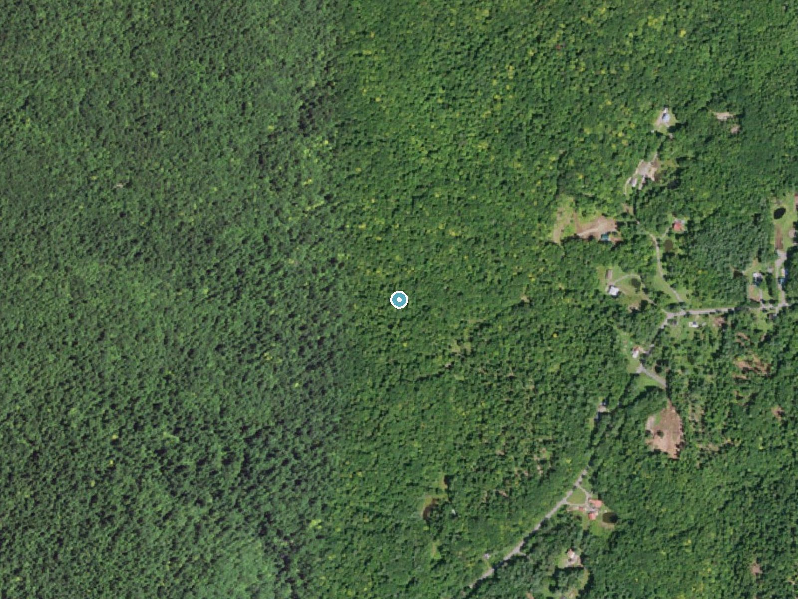 Aerial photo of the same ground around Buttermilk Falls near Gloversville, New York, for comparison with the lidar view