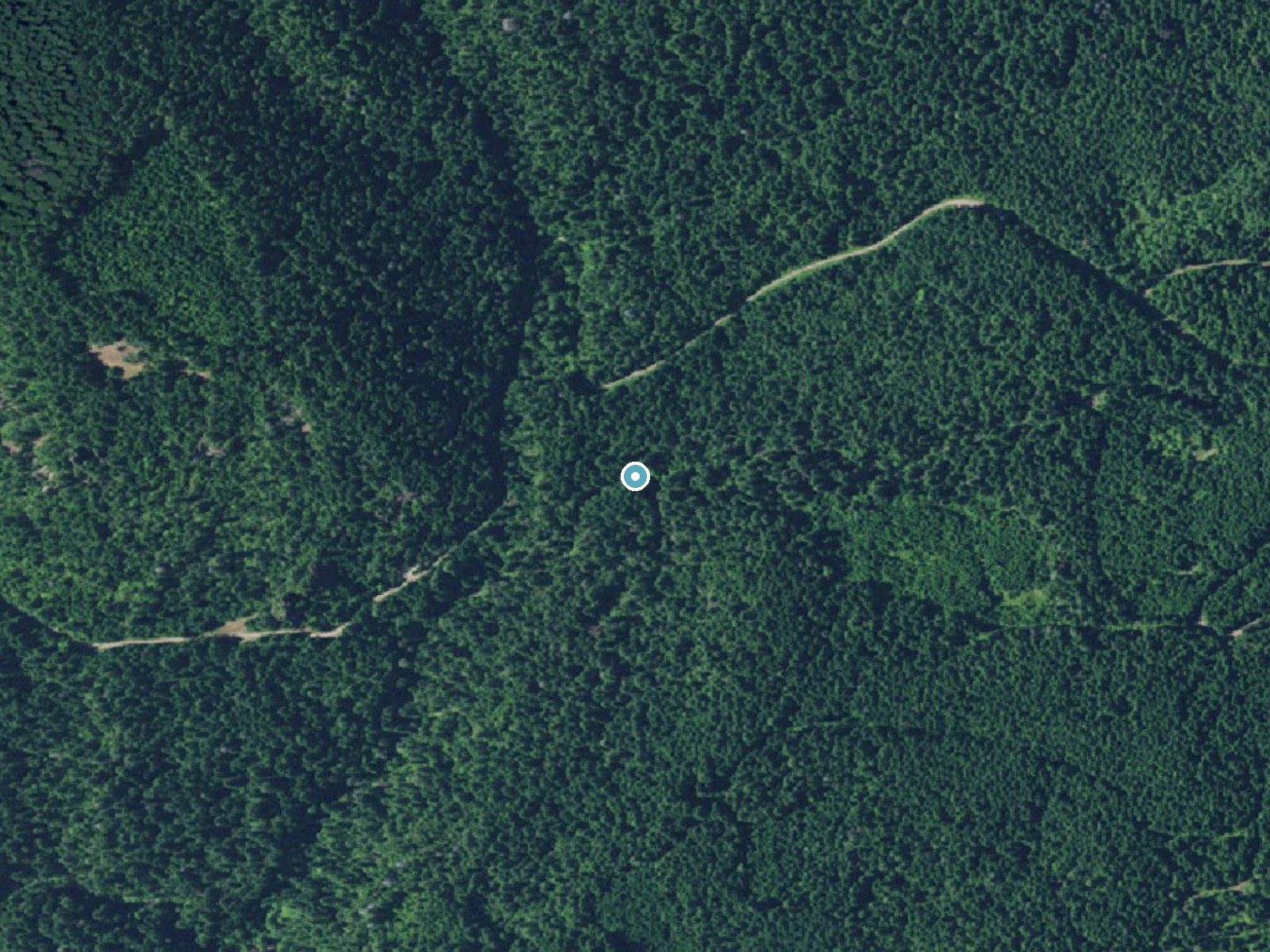 Aerial view of the ground around Shadow Falls near Glide, Oregon