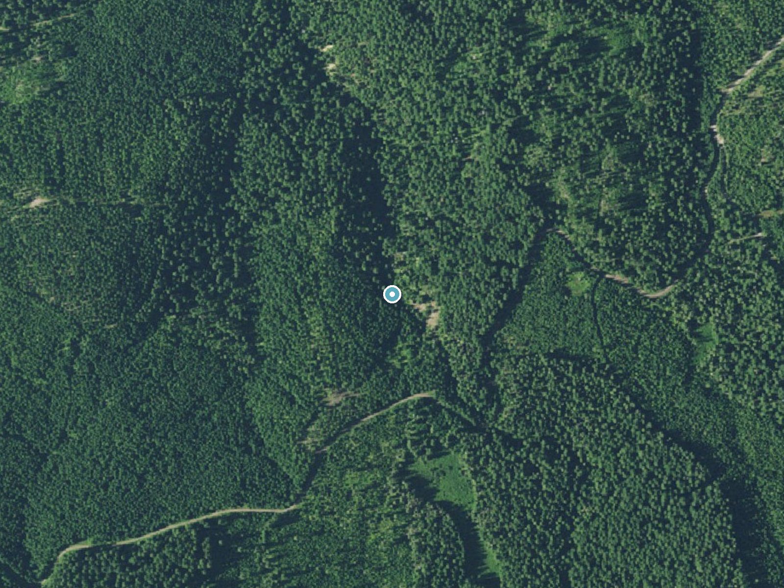 Aerial view of the ground around Clover Falls near Glide, Oregon