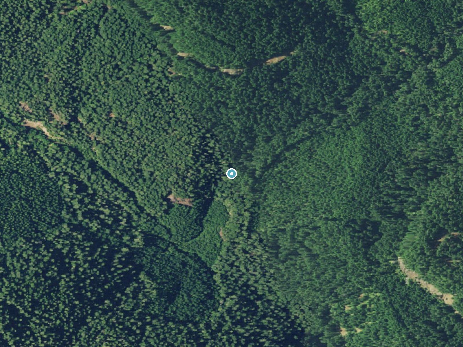Aerial view of the ground around Grotto Falls near Glide, Oregon