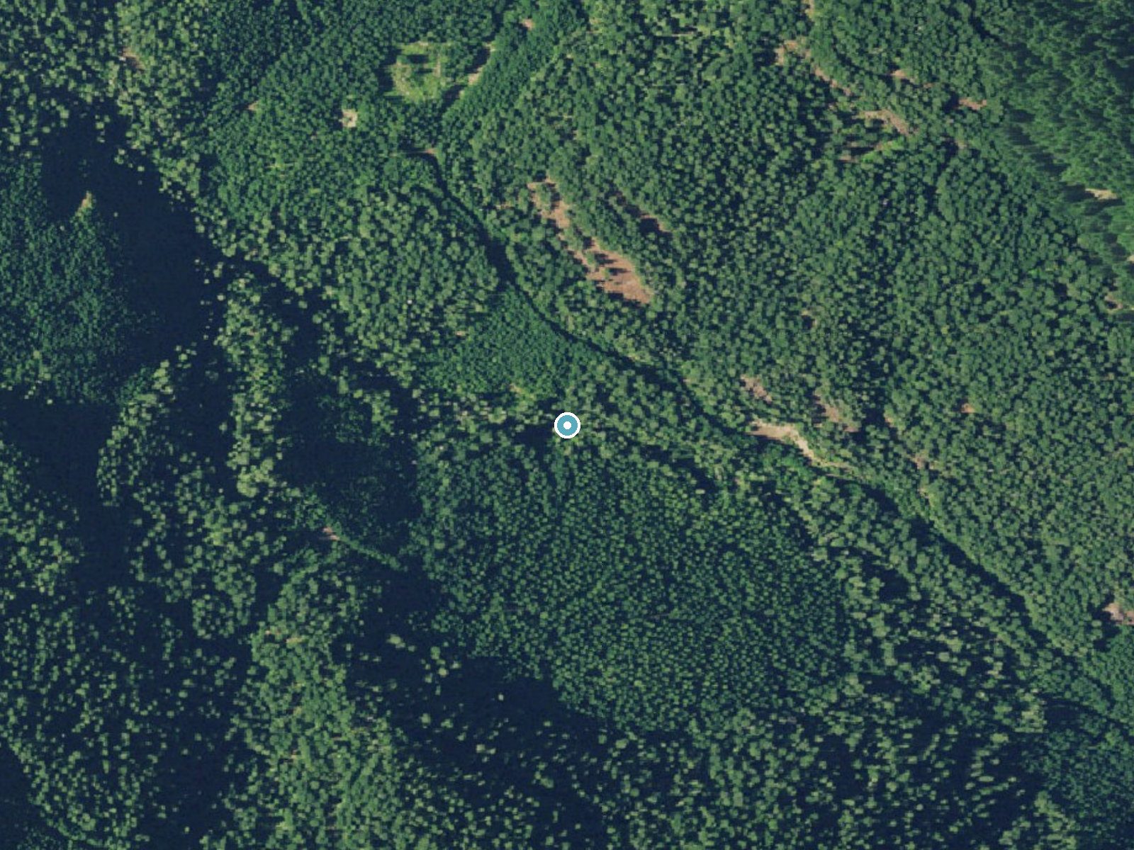 Aerial view of the ground around Emile Falls near Glide, Oregon