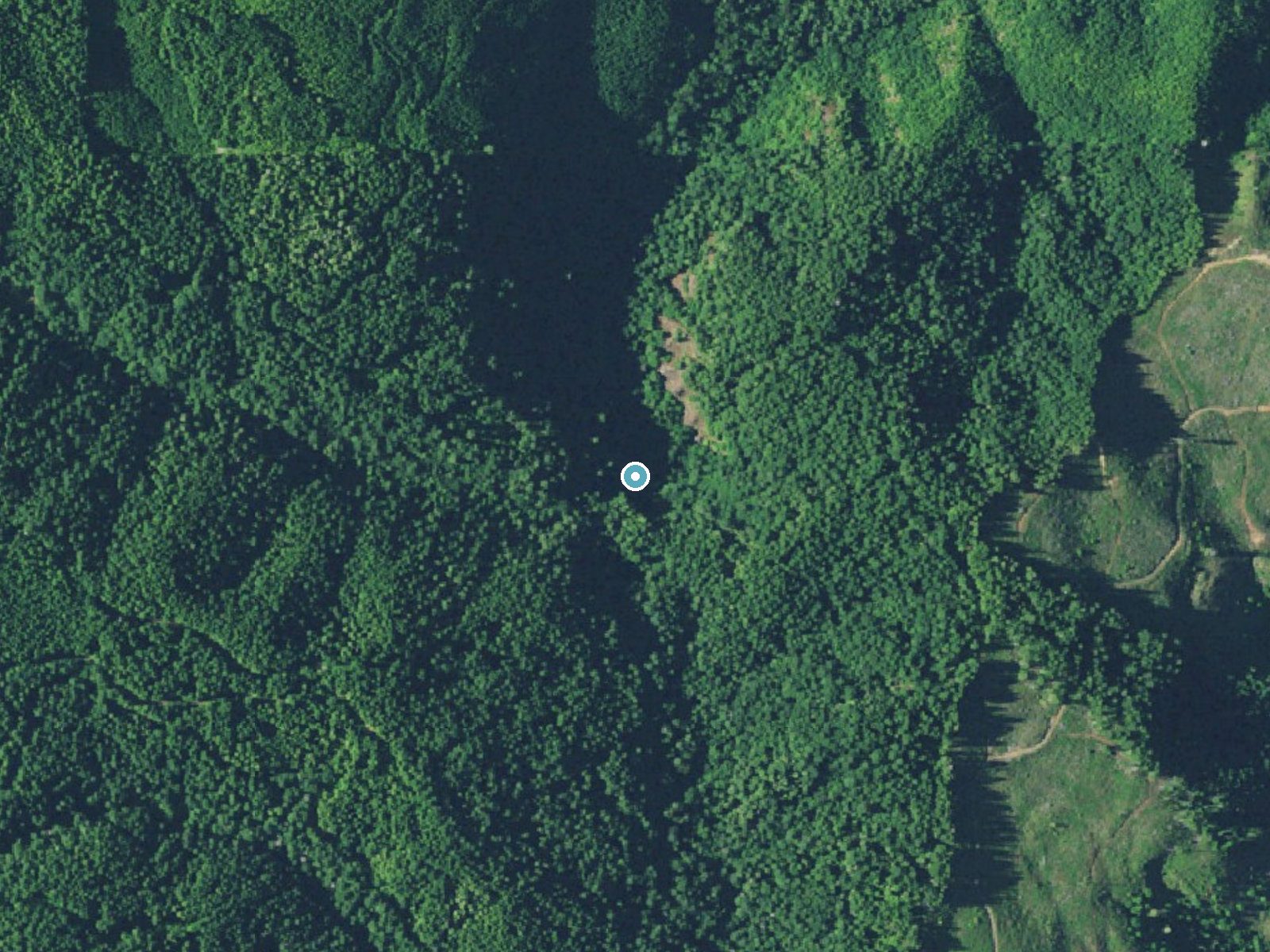 Aerial view of the ground around Platinum Falls near Lakeside, Oregon