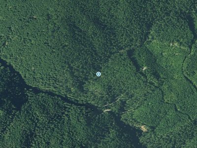 Aerial view around Lower Parker Falls in Oregon