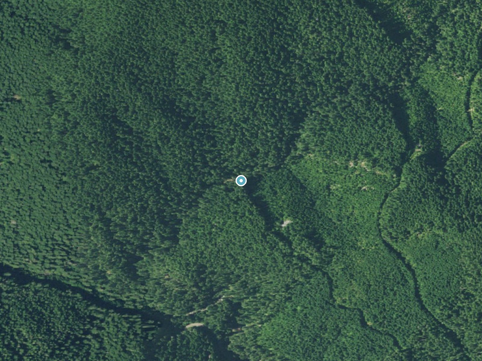Aerial view of the ground around Upper Parker Falls near Westfir, Oregon