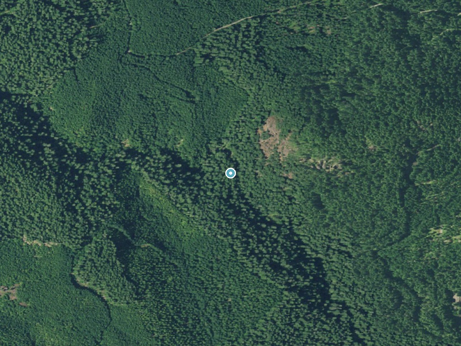 Aerial view of the ground around Pinard Falls near Westfir, Oregon