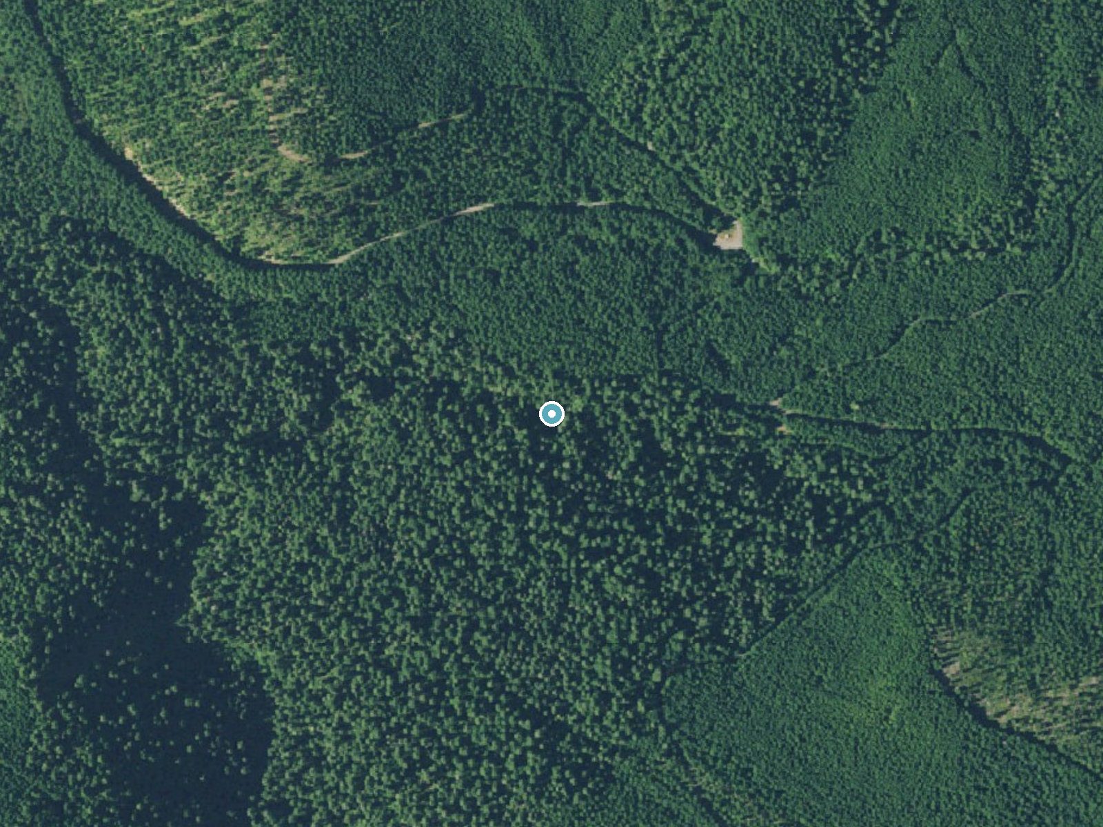 Aerial view of the ground around Spirit Falls near Westfir, Oregon